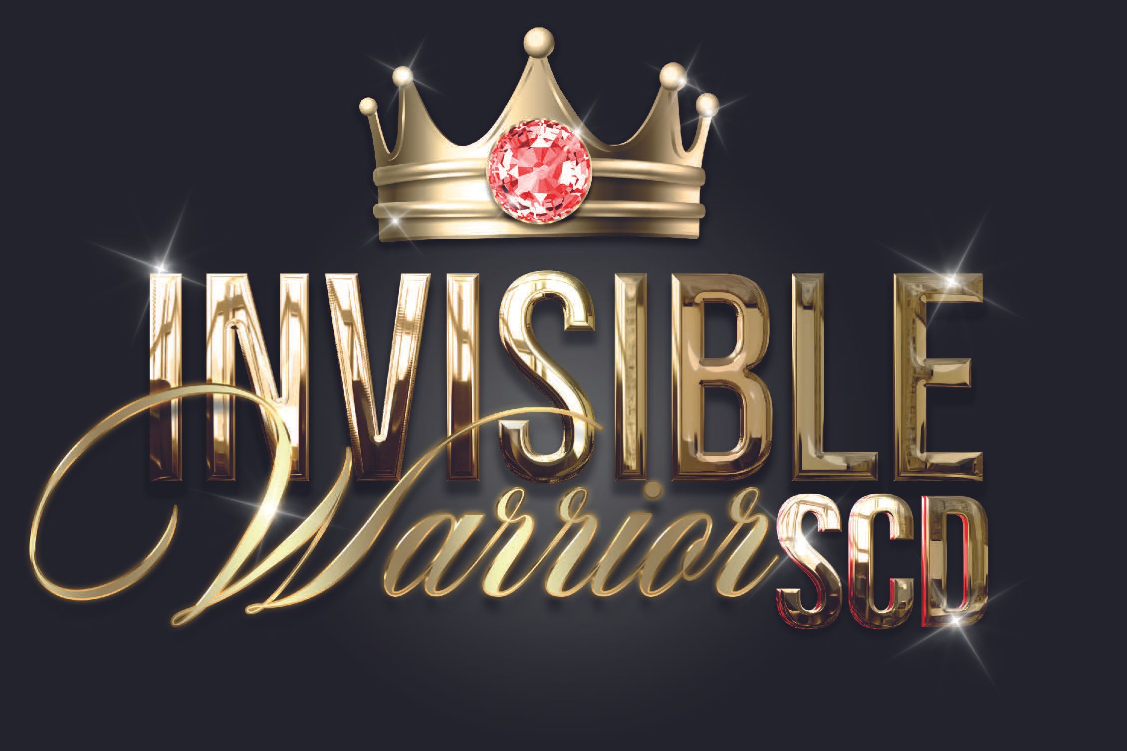 Invisible Warrior project logo