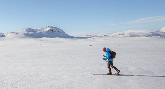 Student cross-country skiing in Sweden in 2022