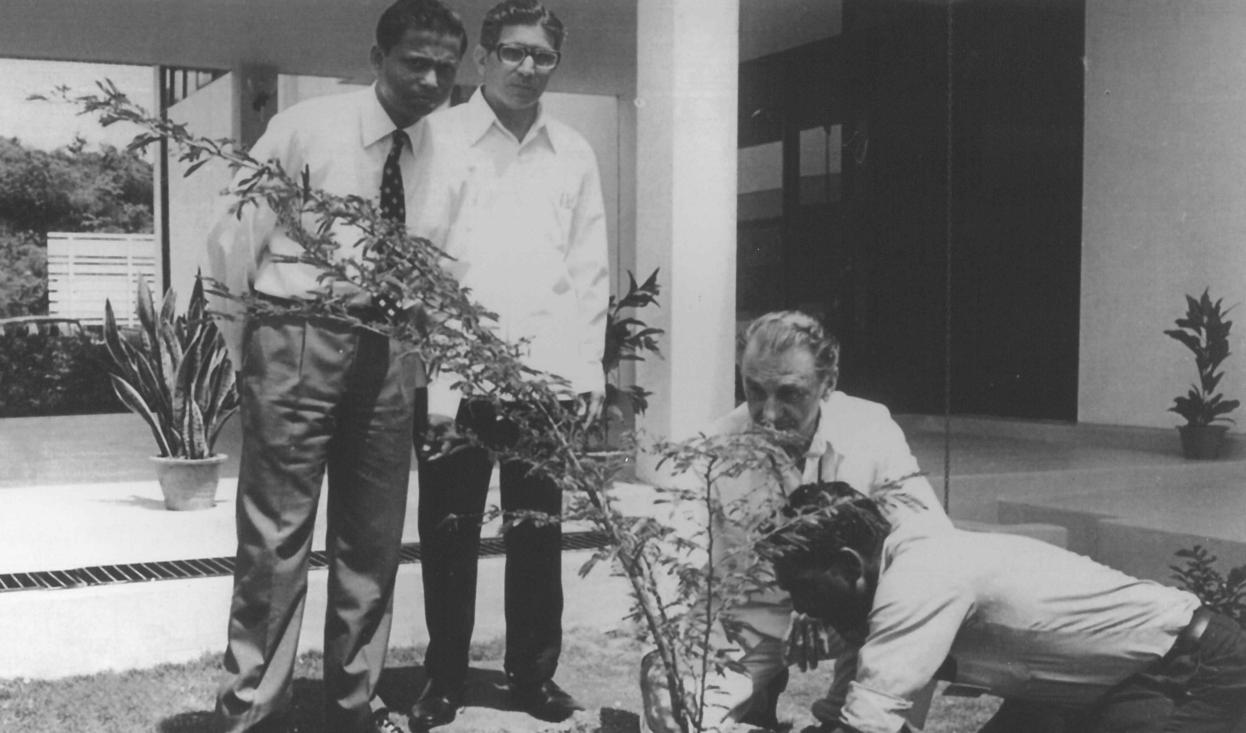 Syamal Gupta with J.R.D.Tata planting tree