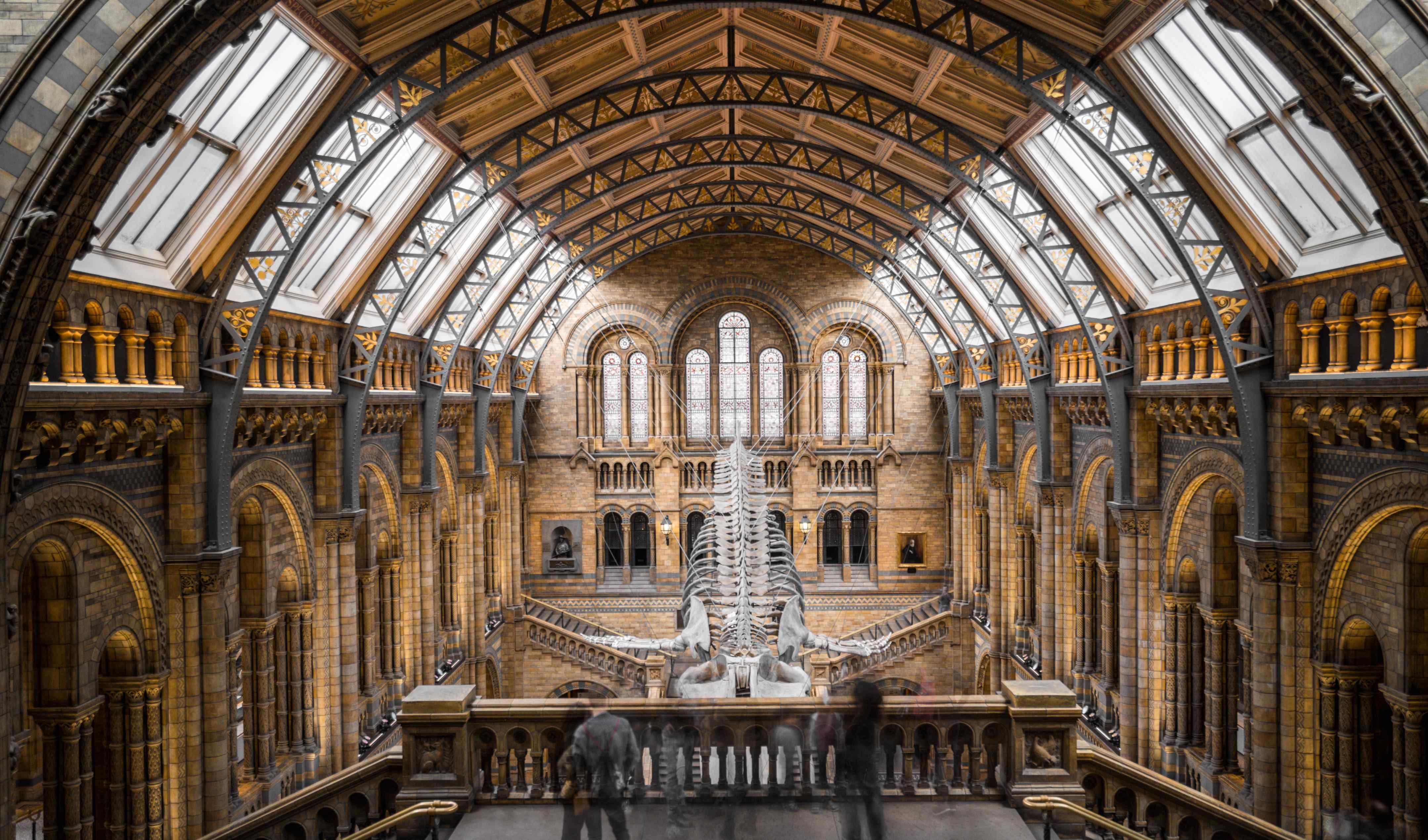 Trip to Natural History Museum