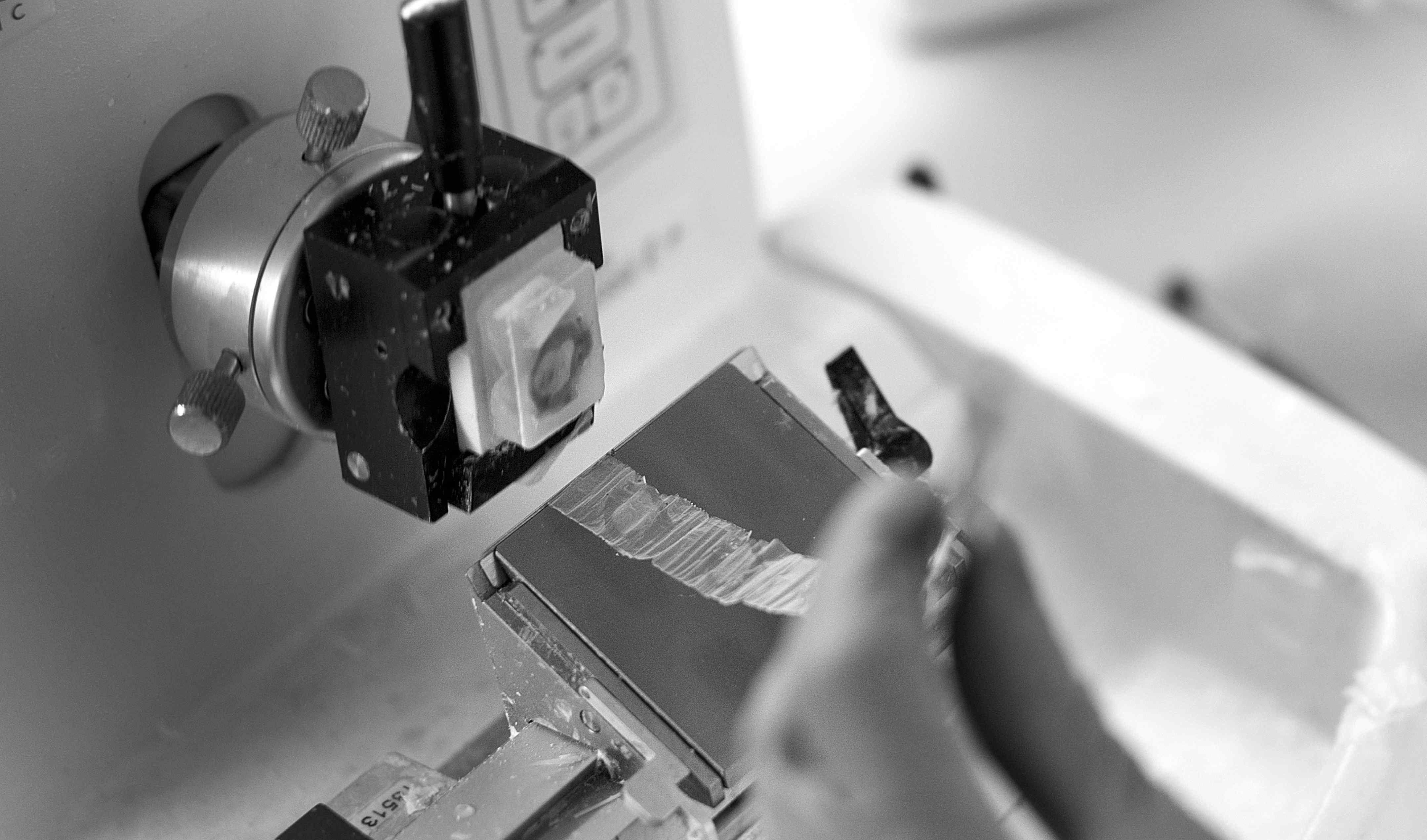 A microtome is used to cut very thin slices of brain tissue.