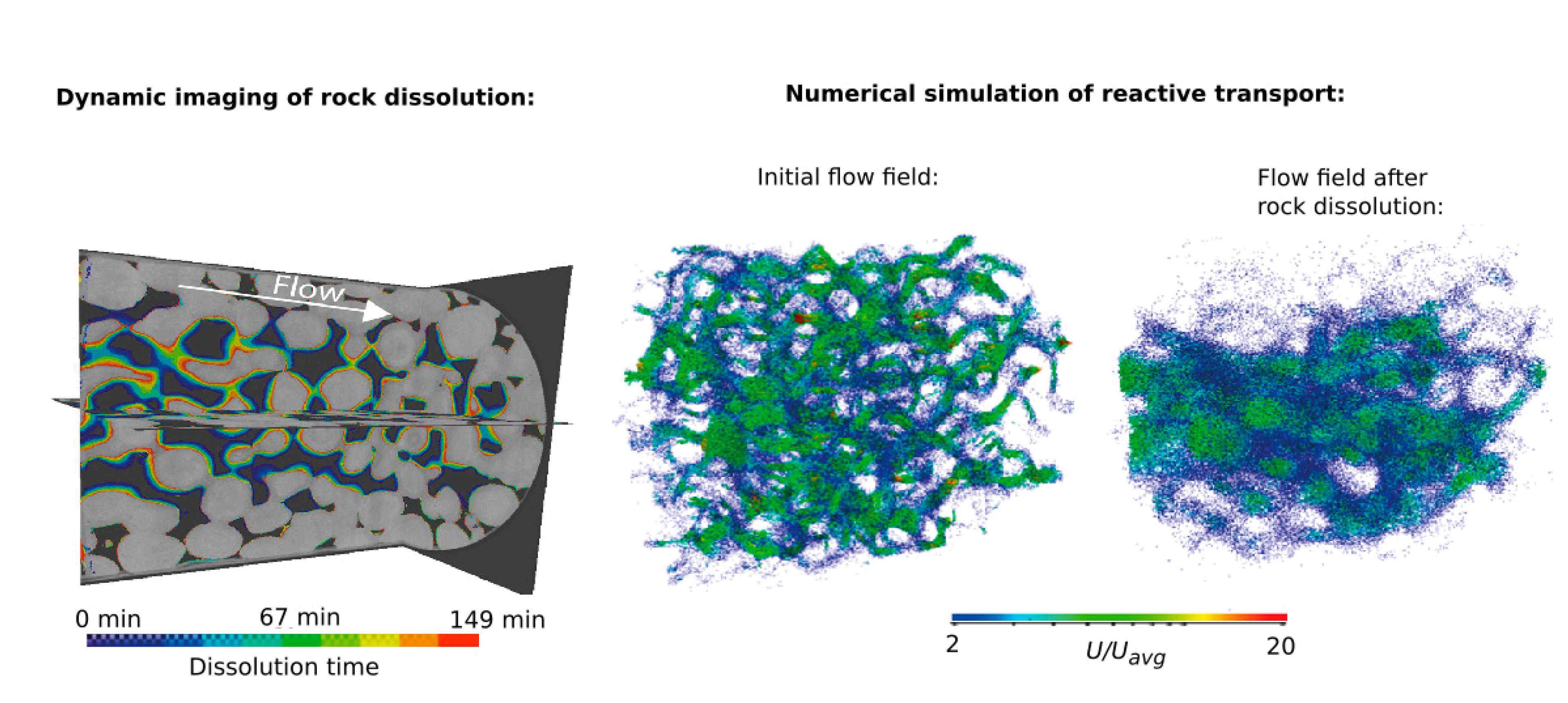 Imaging and modelling dissolution