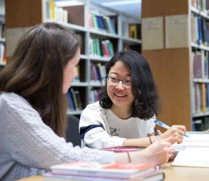 Students working together in library