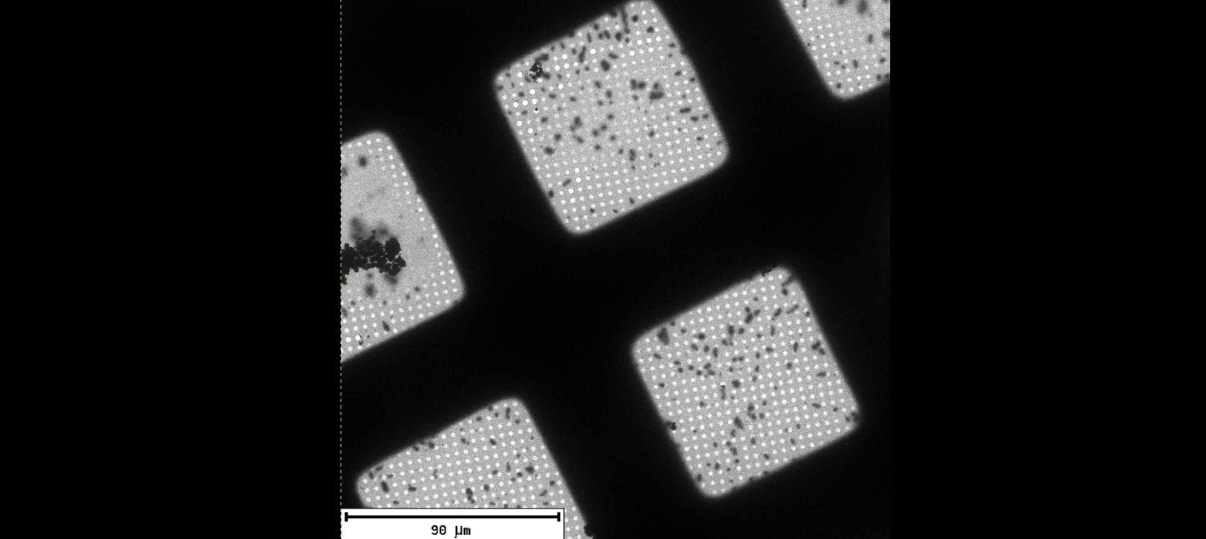 Electron microscopy grid at low magnification
