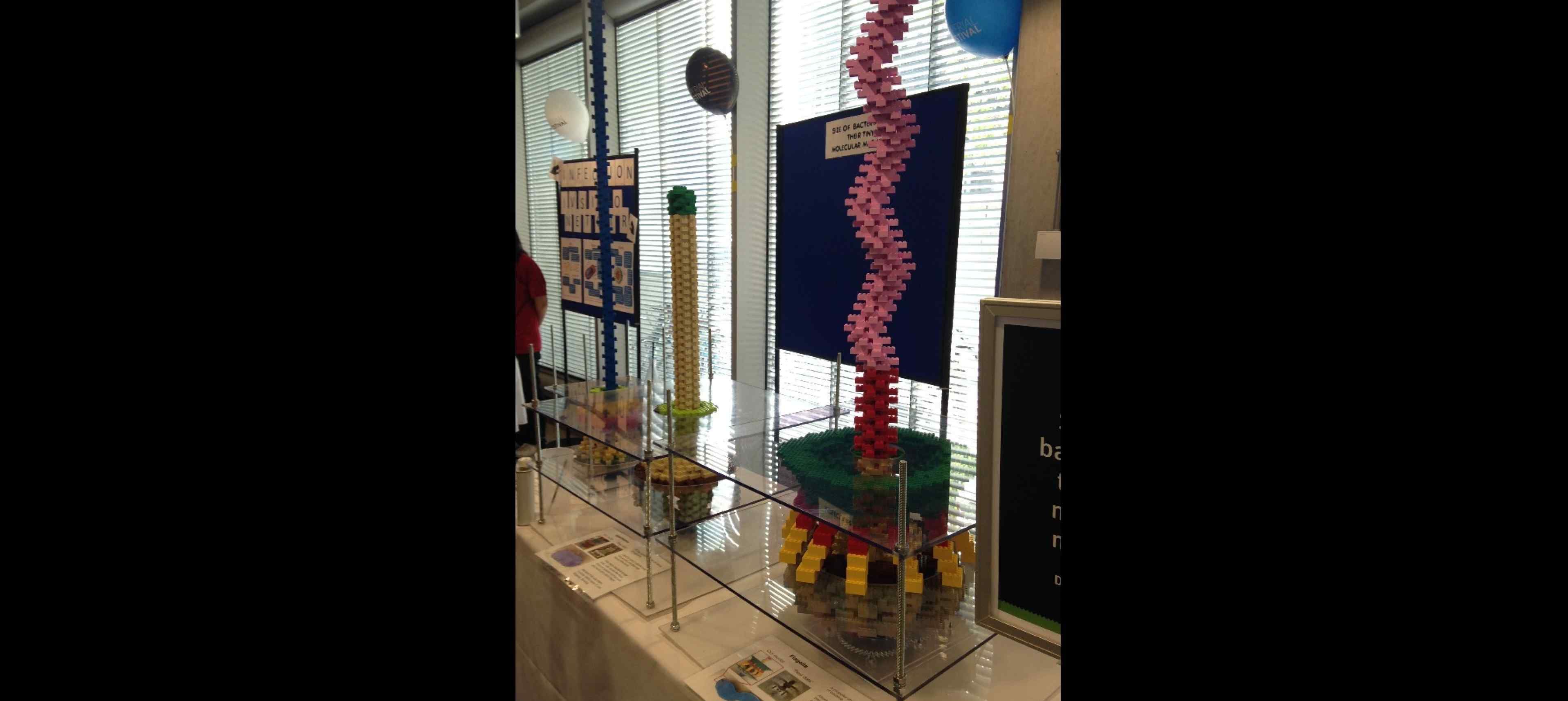 Lego models of bacterial molecular machines