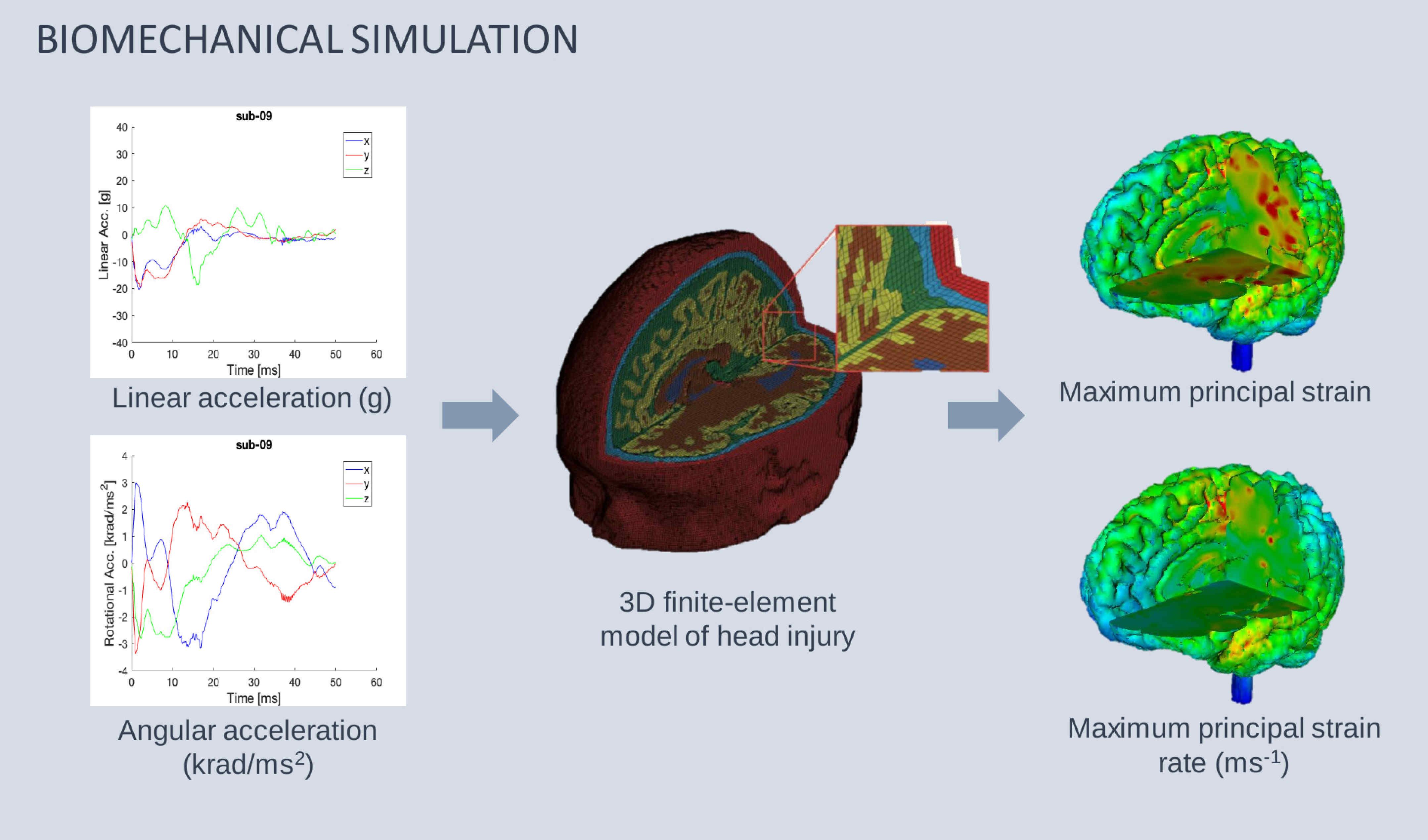 We use Finite Element modelling to see how different linear and angular head acceleration affects the strain on the brain during an impact.
