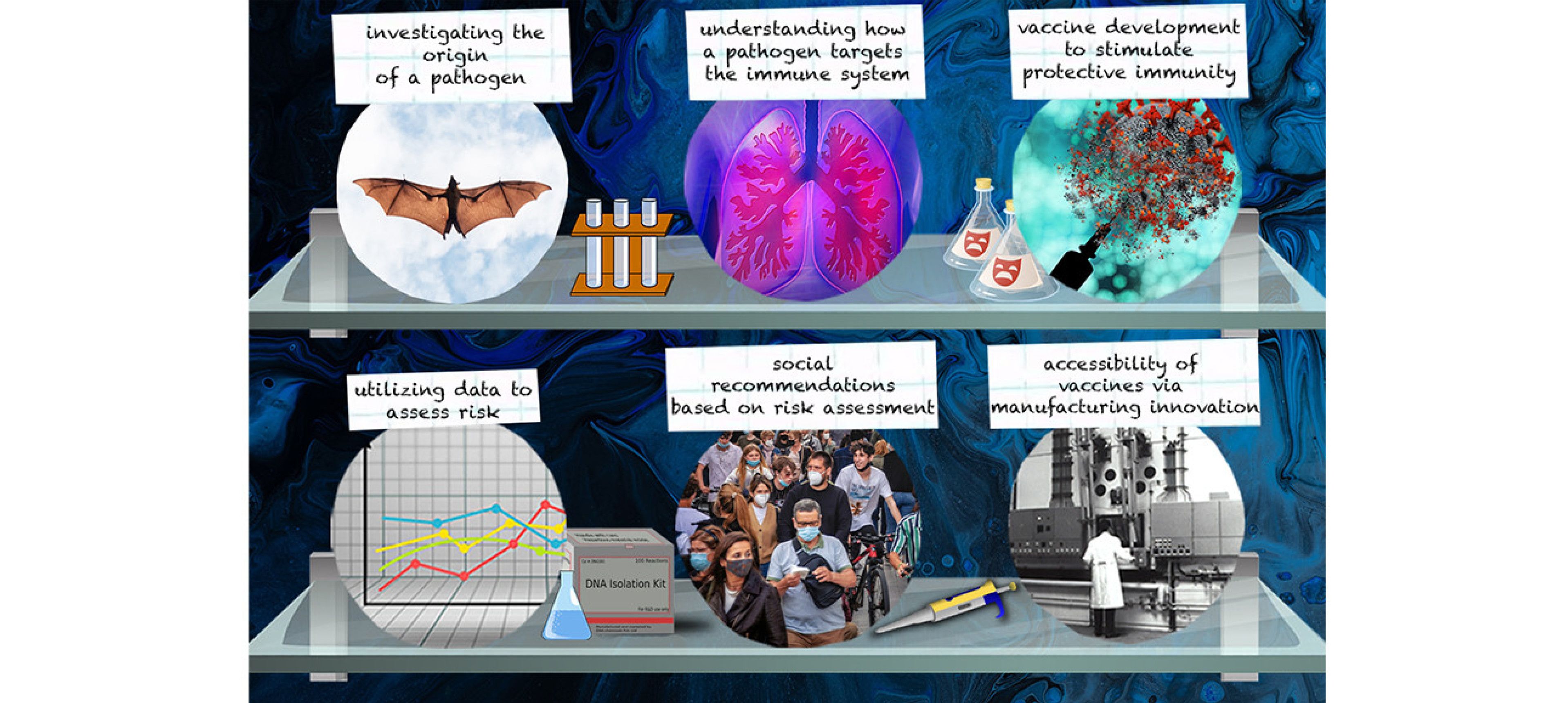 Visual drawing inspiration from the looks of laboratory shelves to highlight specific focuses within the field of immunopathology