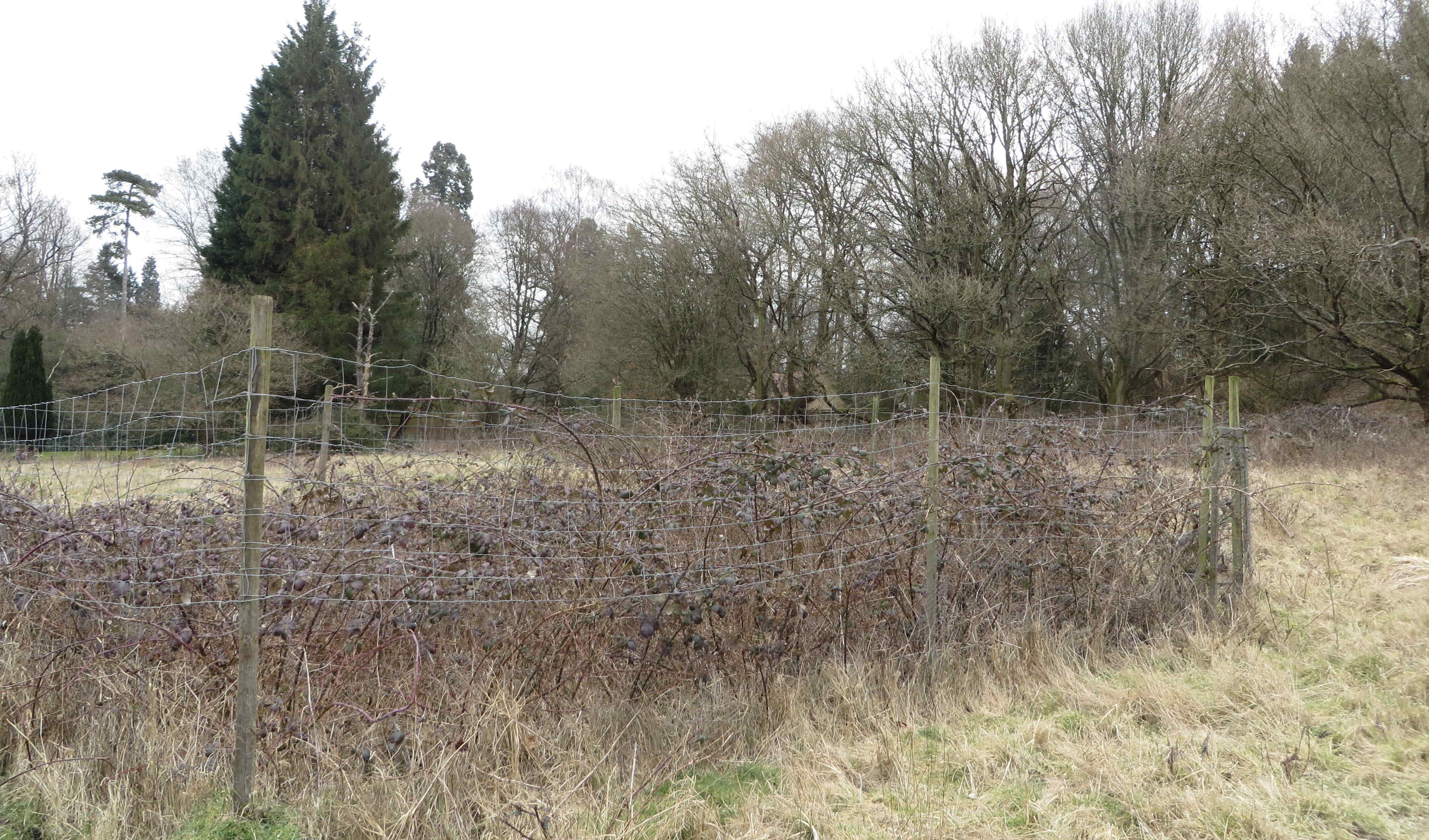 Heron's Brook fenced plot
