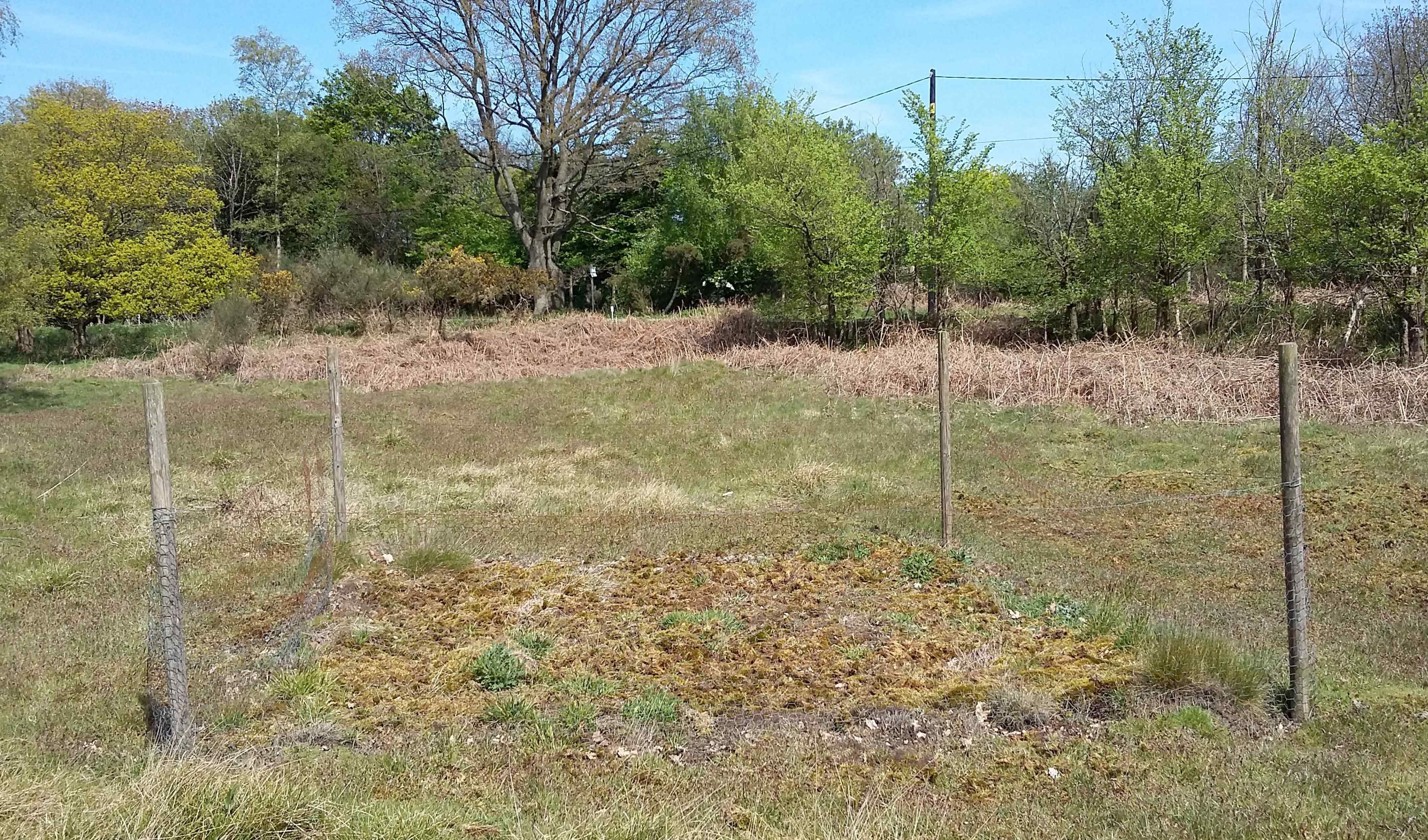 exclusion at gravel pit