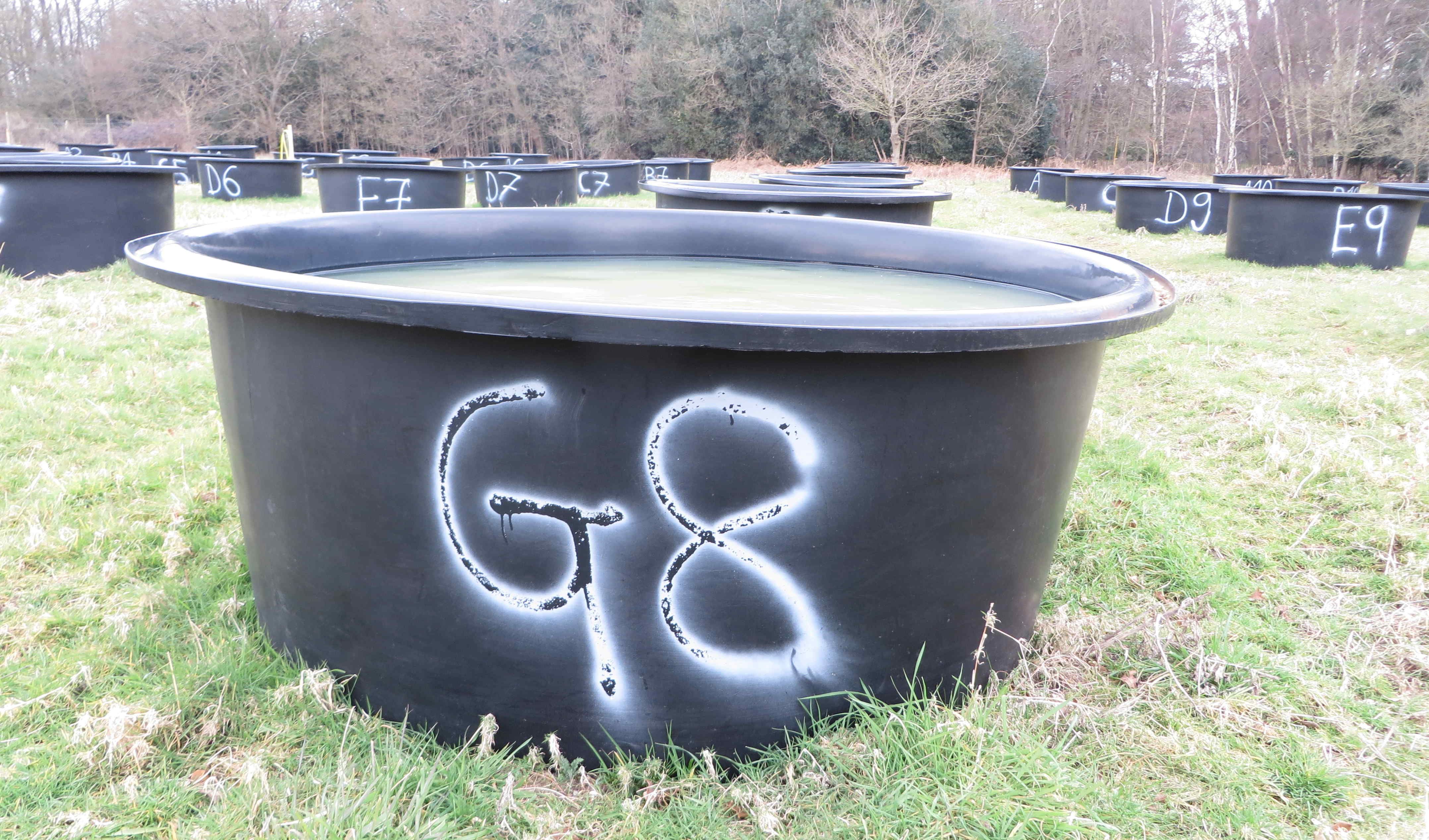 G8 tank