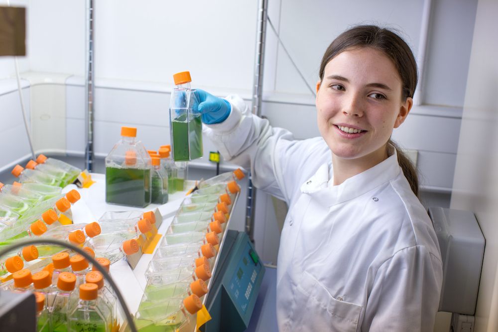 Biochemistry student in lab