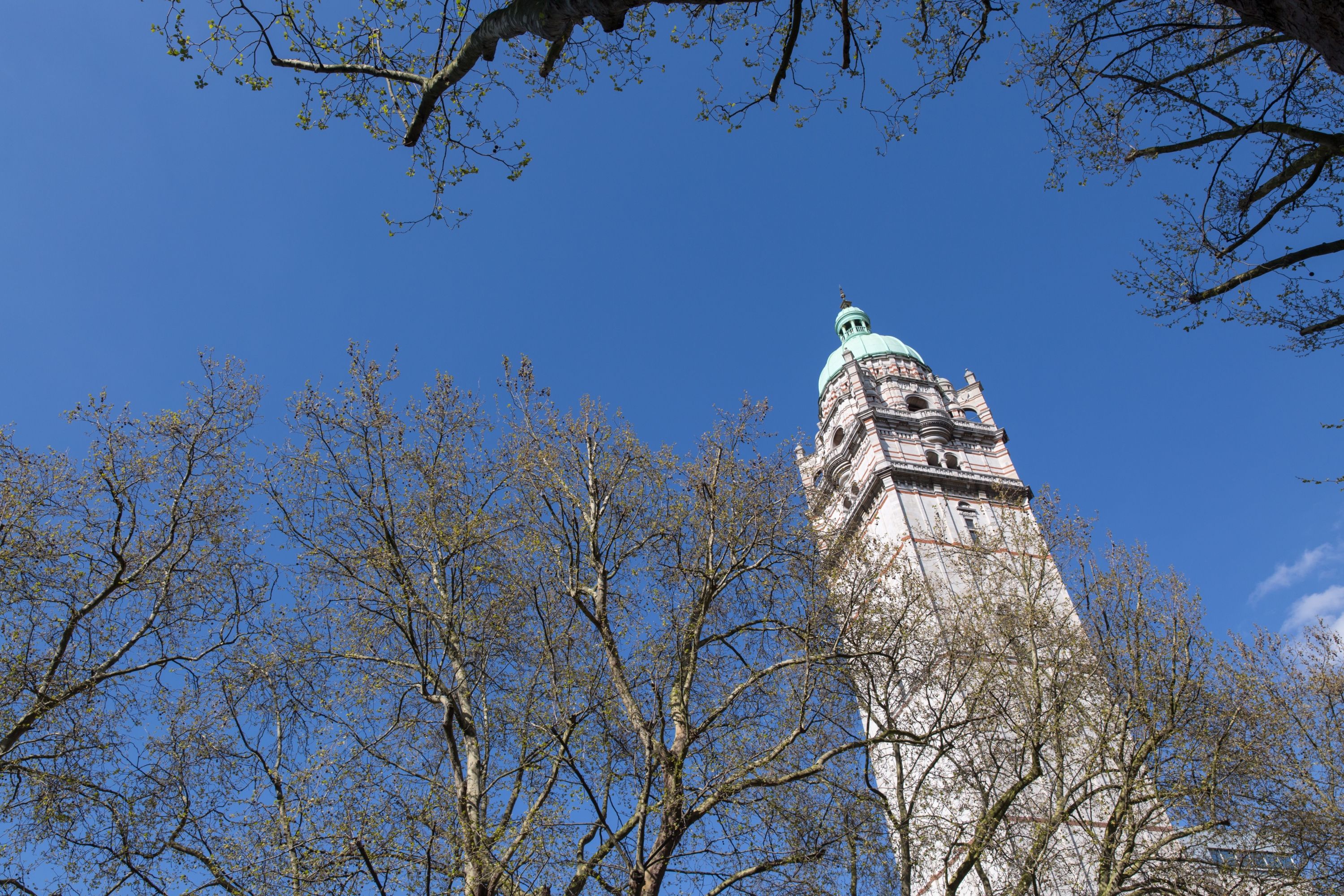 The Queens Tower with trees