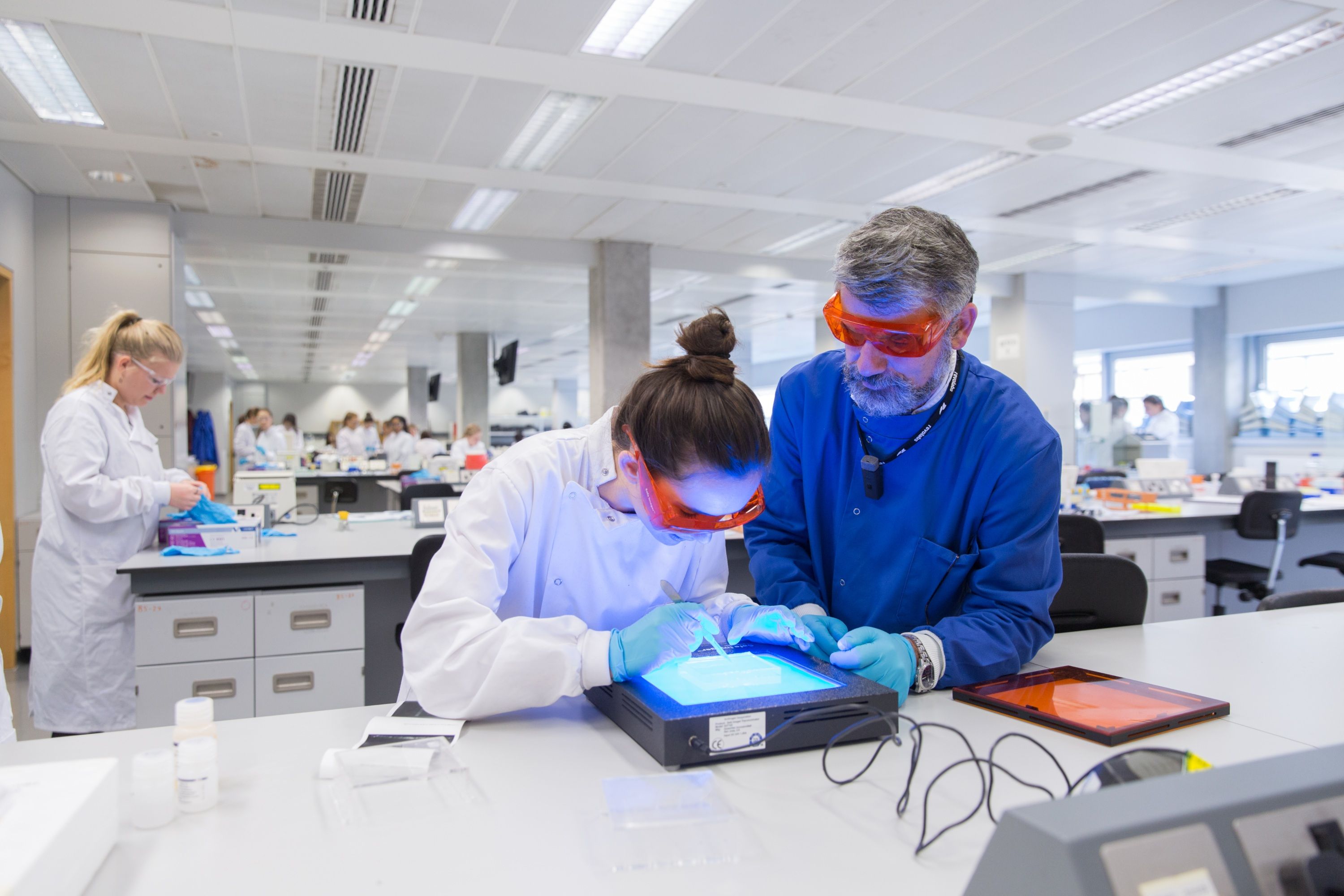 Biotechnology with a Language for Science BSc
