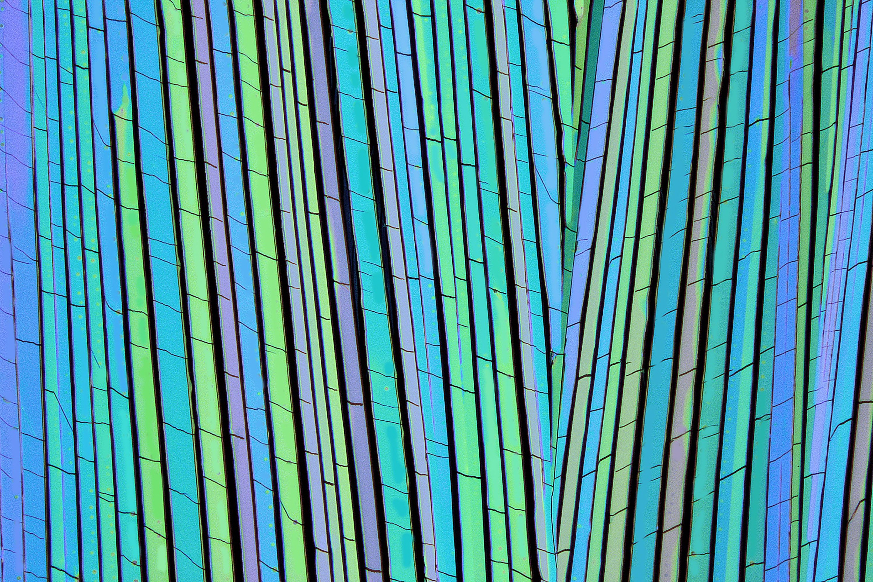 Microscope image of chiral layers of carbon-based polymers for LEDs