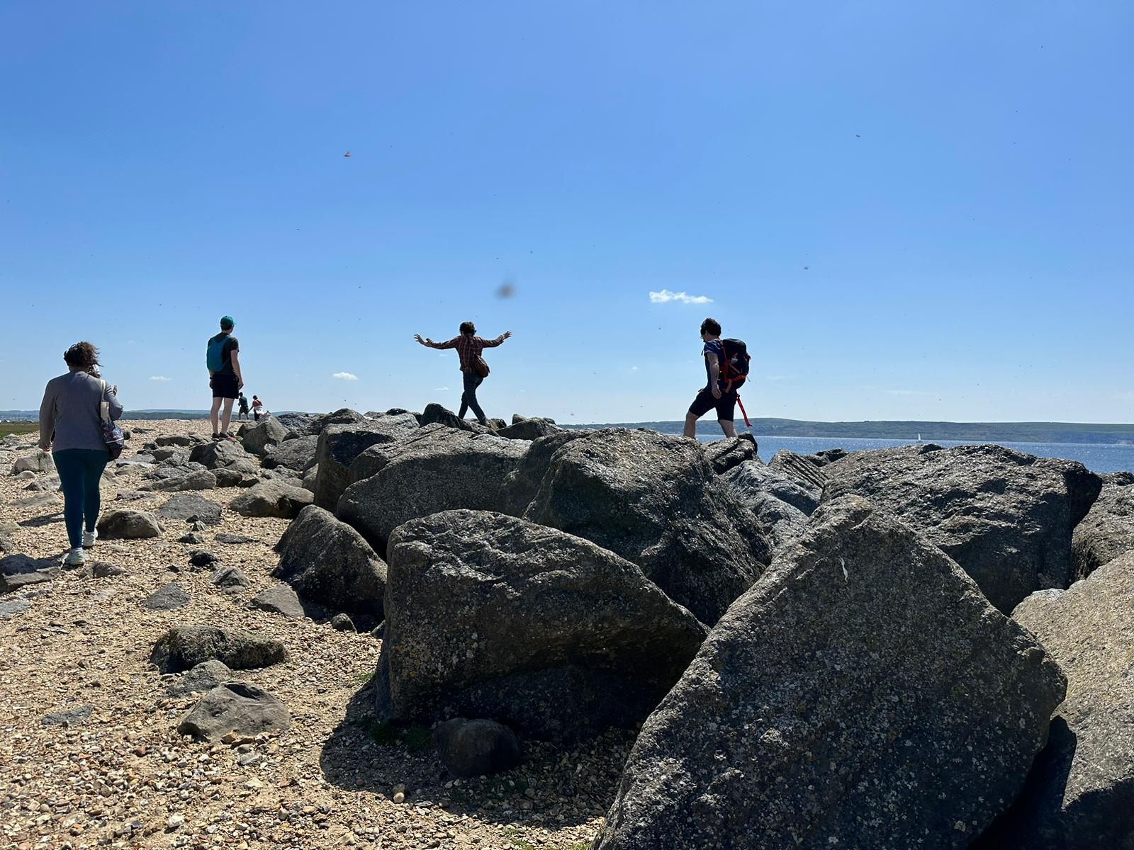 A group walking on a beach