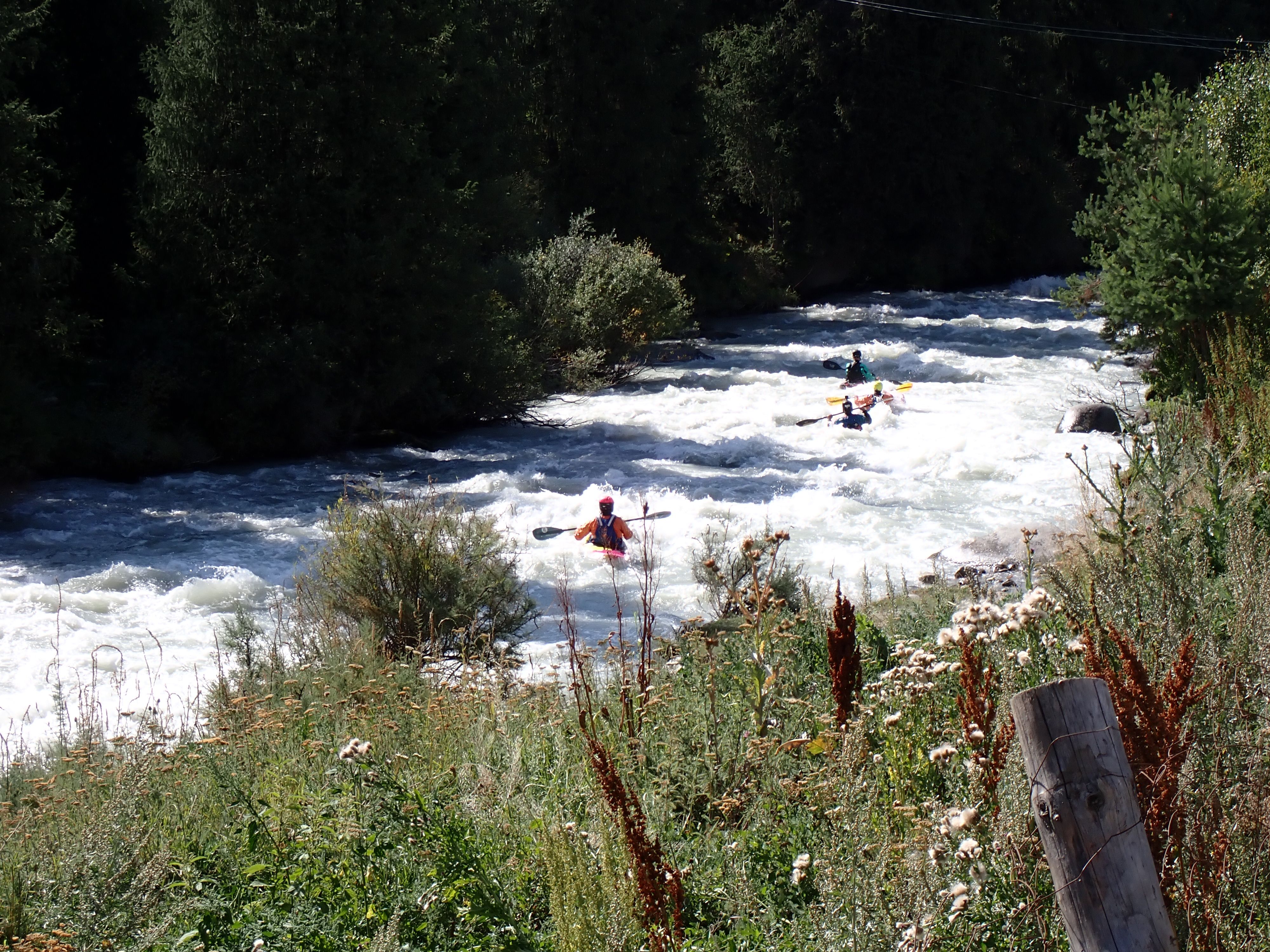 Students kayaking