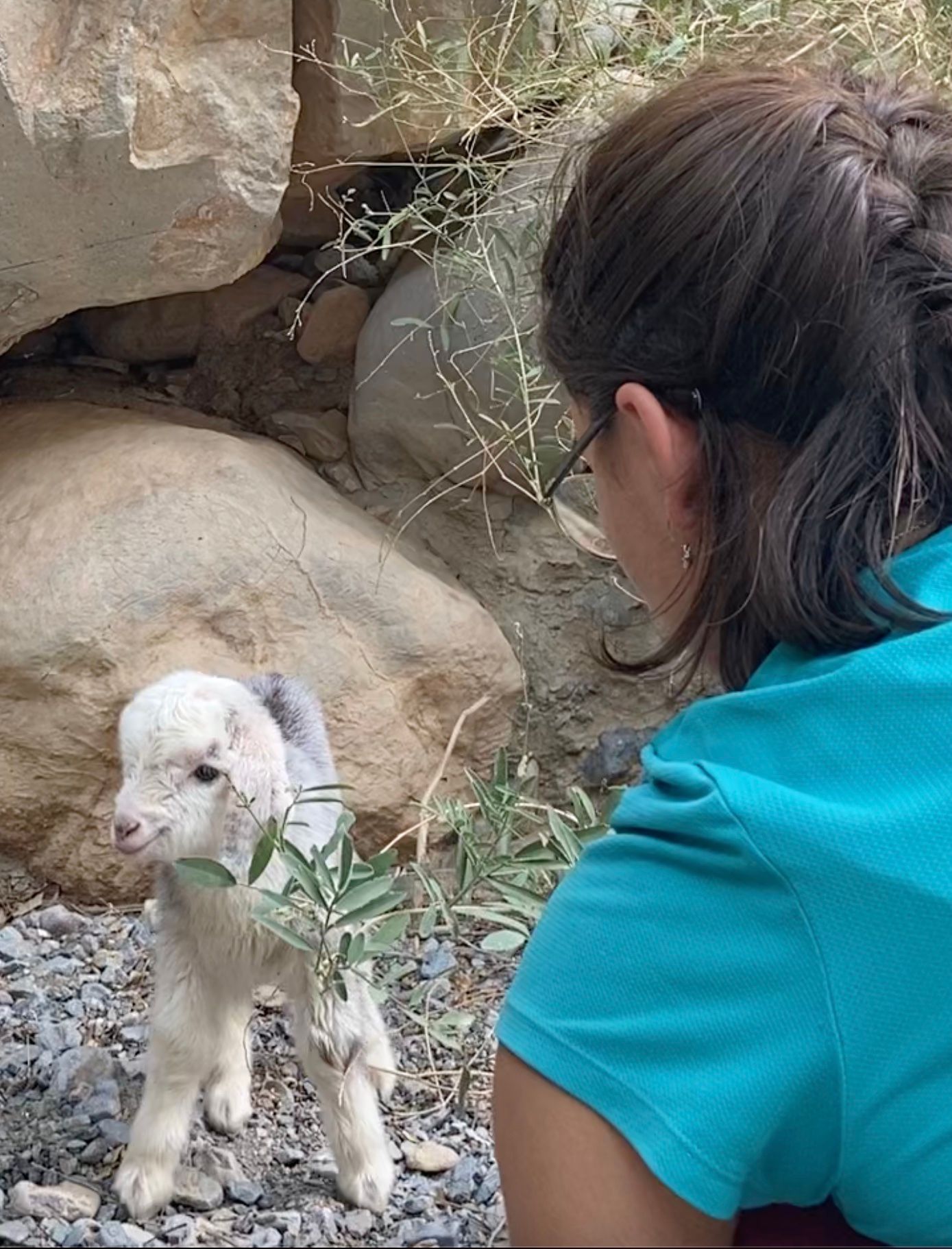 Student with small animal in Oman in 2022