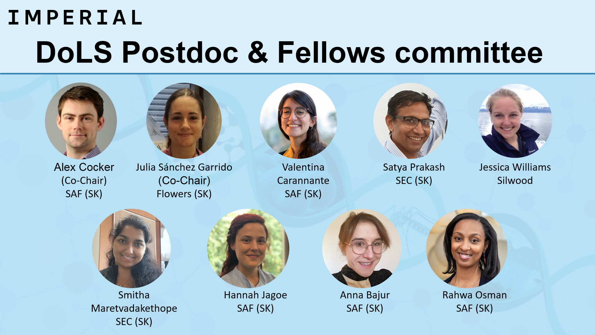 Members of the DoLS Postdoc and Fellows Committee in June 2025
