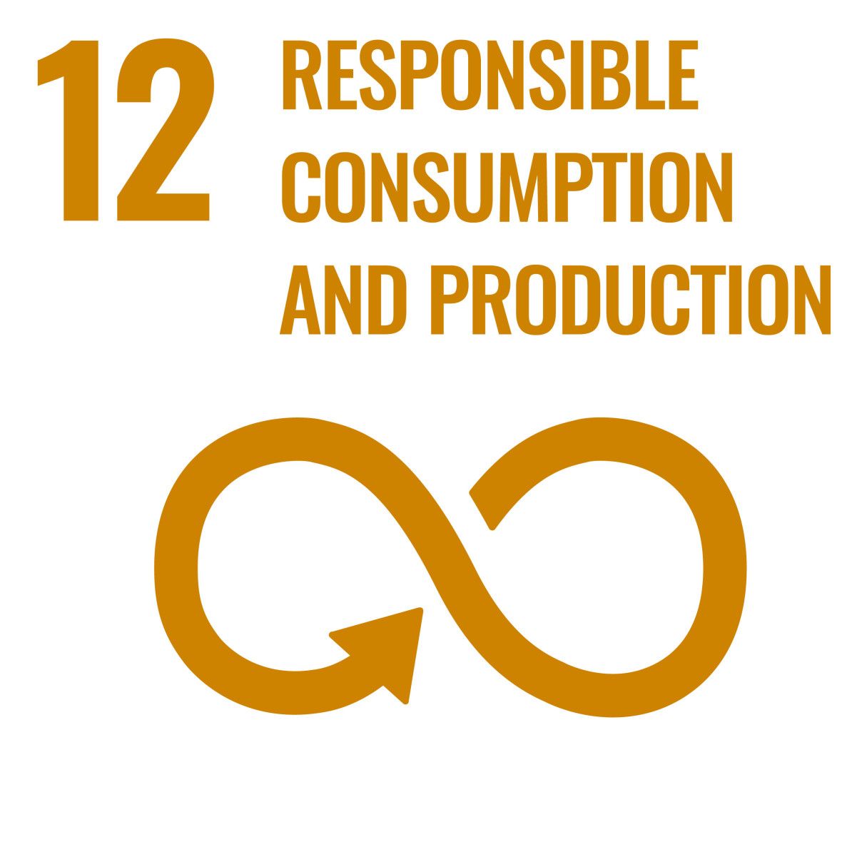 SDG 12 Responsible consumption and production