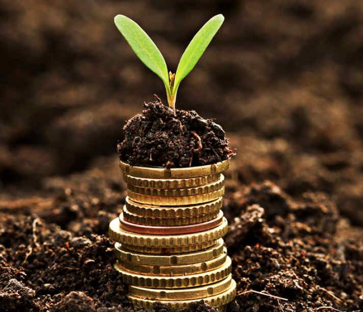 Picture of a pile of coins with a seedling browing out of the top