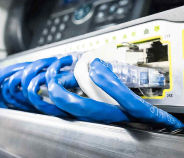 Ethernet cables plugged into a network switch