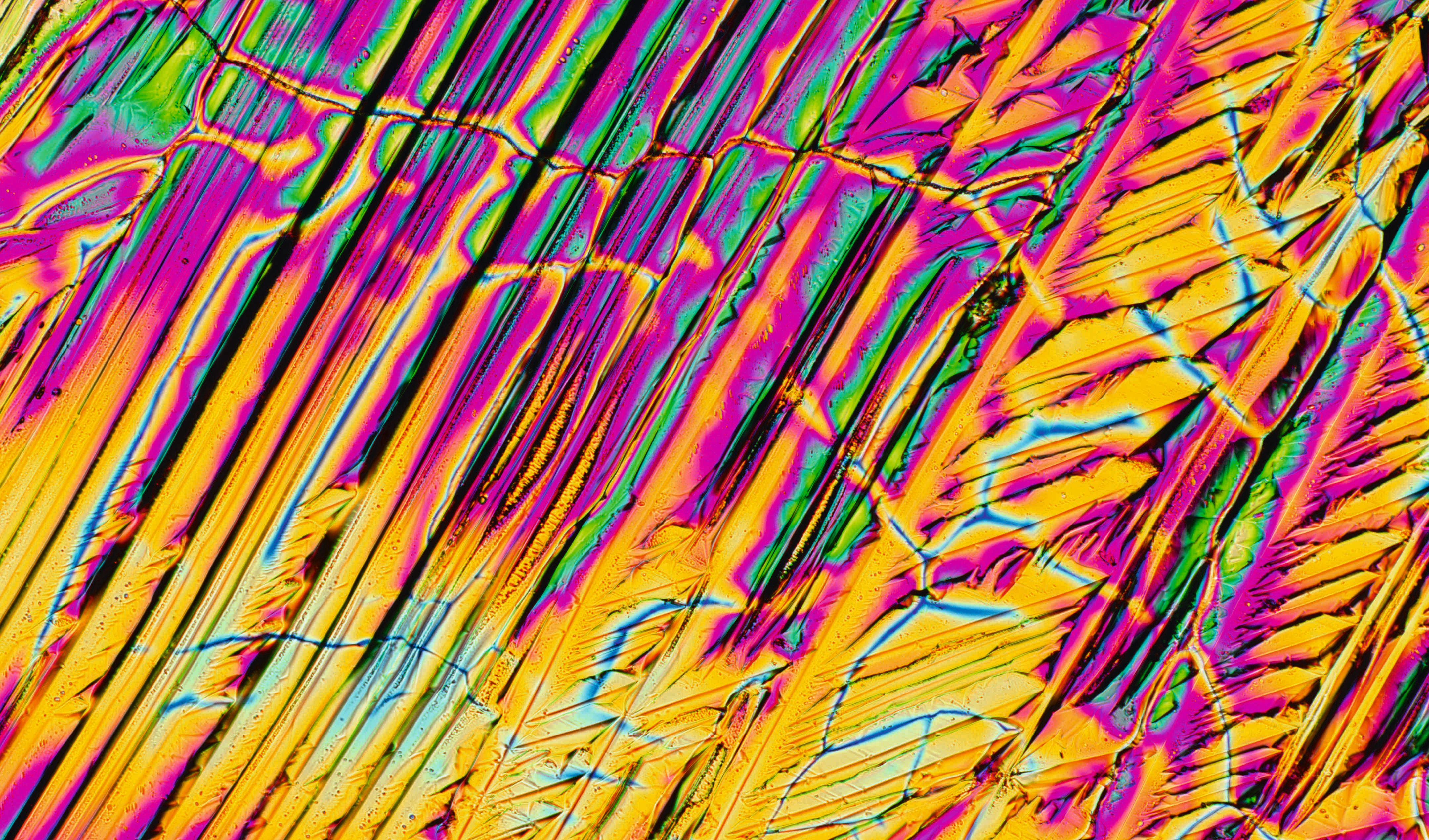 Pepsin crystal