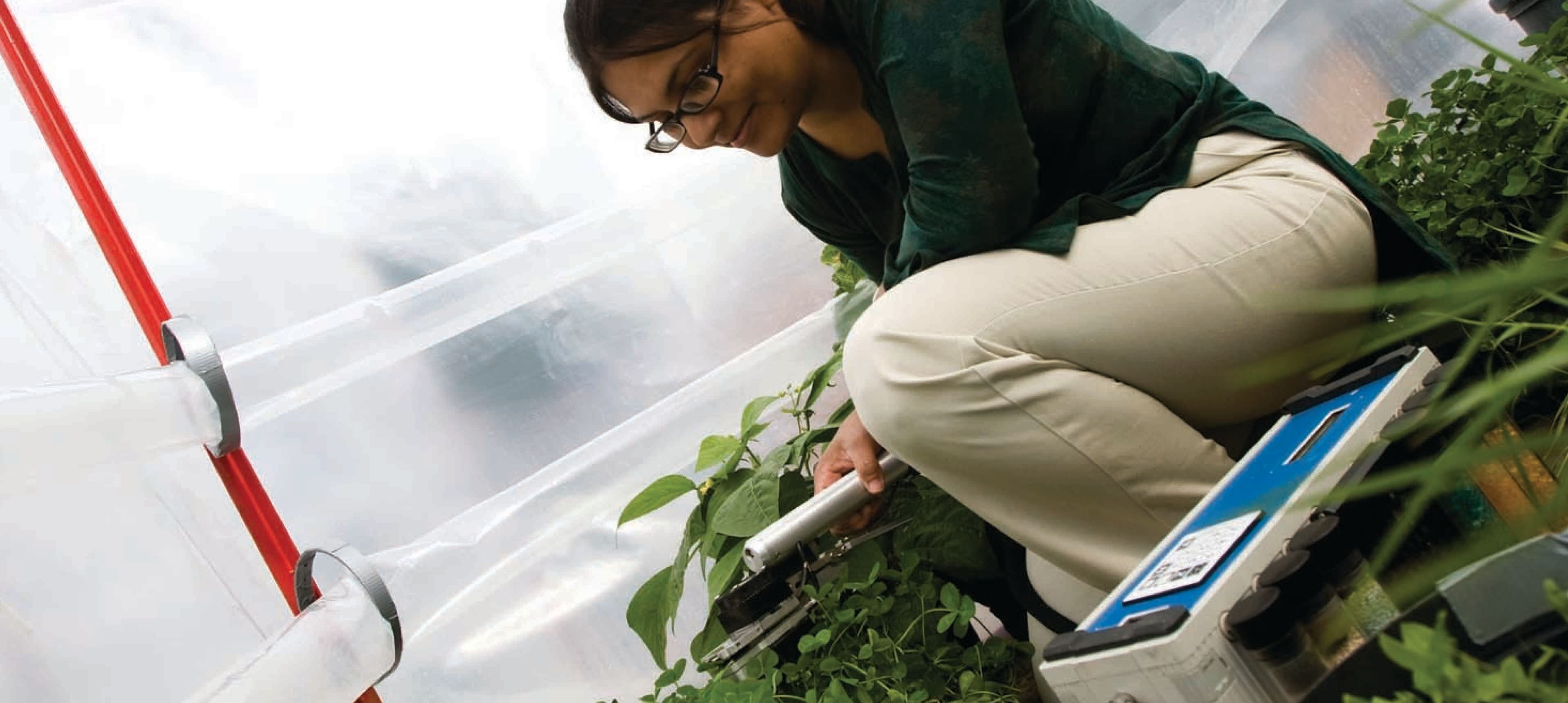 woman looking at plants