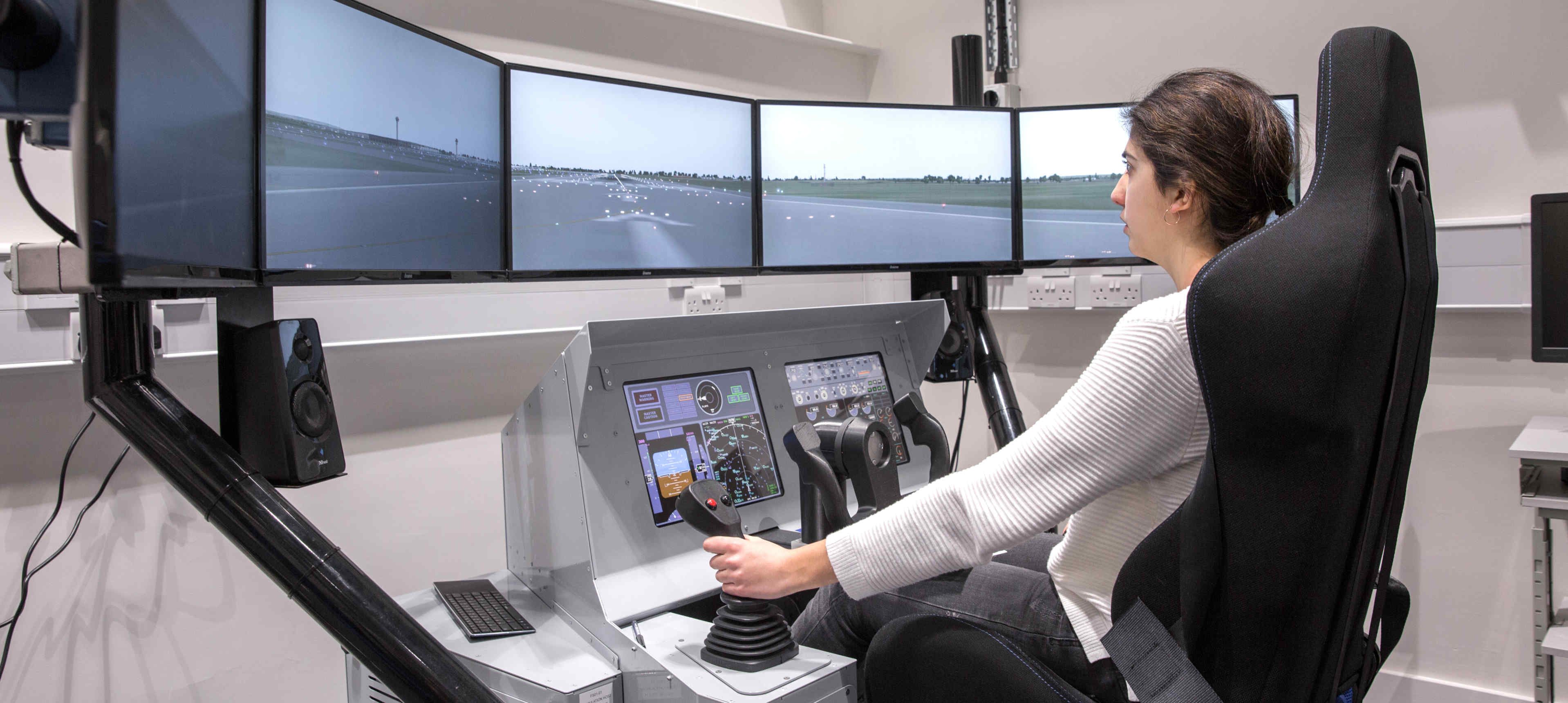 Flight simulator