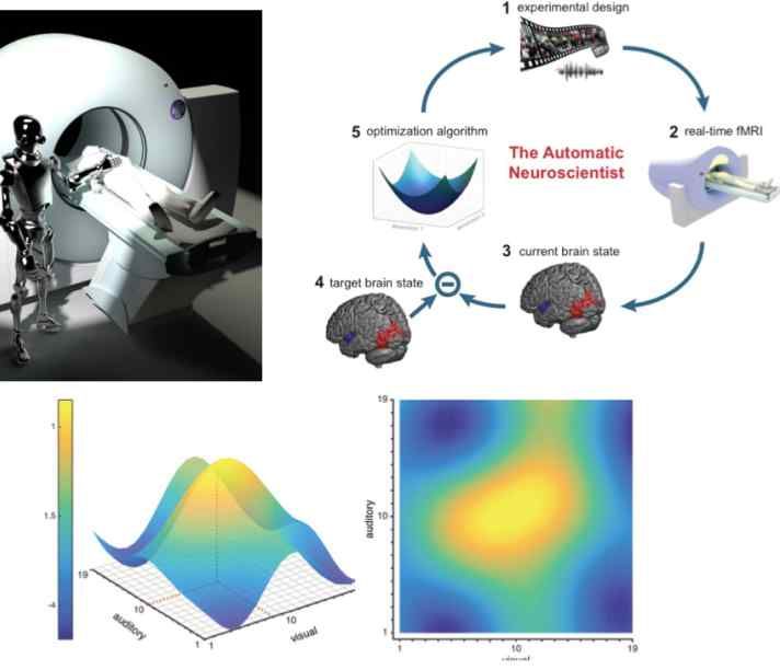 Automatic Neuroscientist