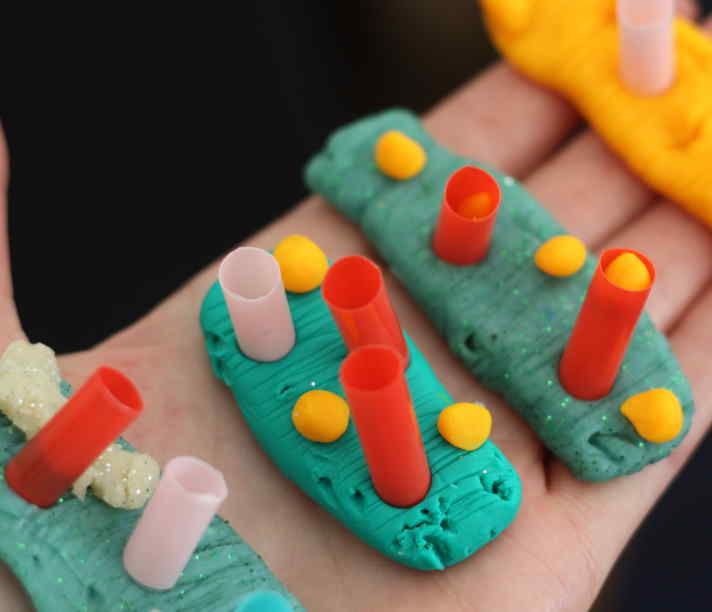 plasticine cells