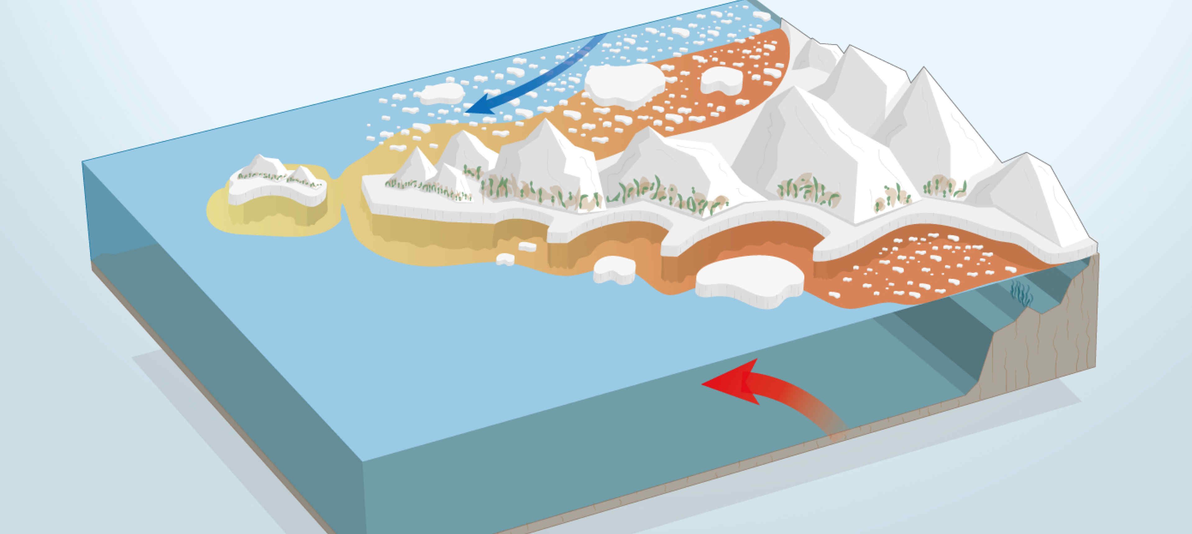 Line drawing of Antarctic peninsula