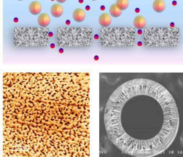 Membranes