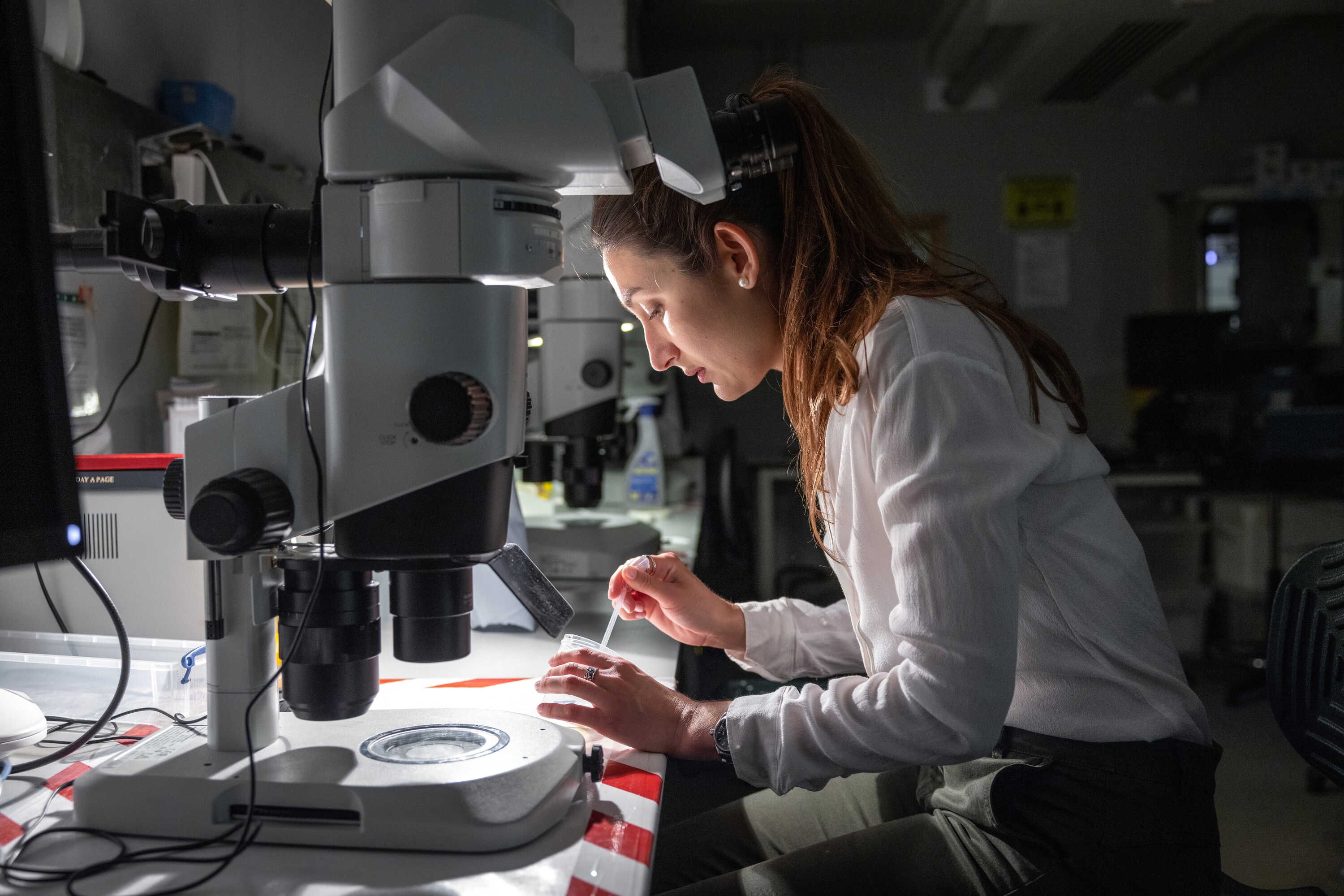 
      A Life Sciences postgraduate Doctoral student working in the Cristani research lab