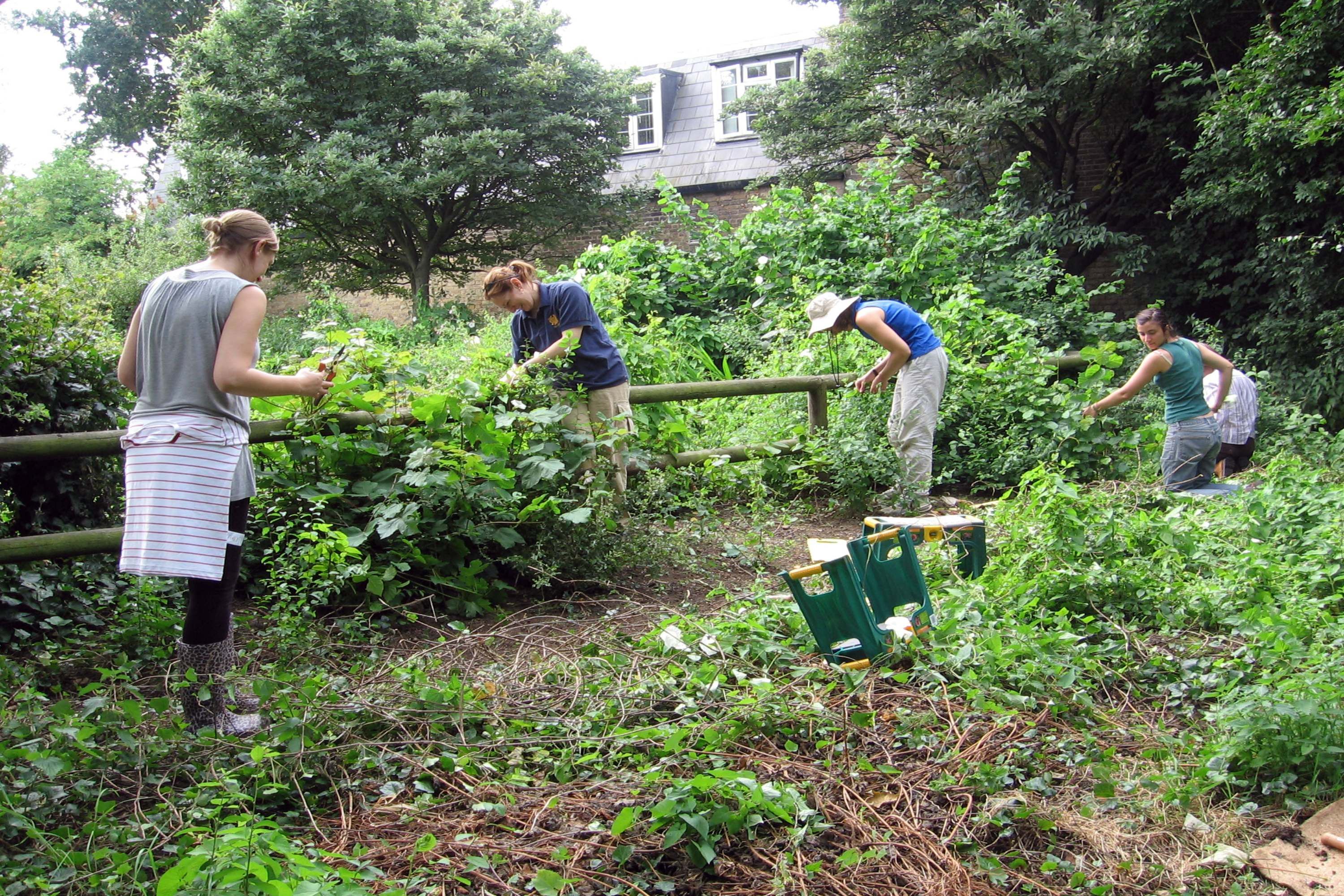 Three students in greenery