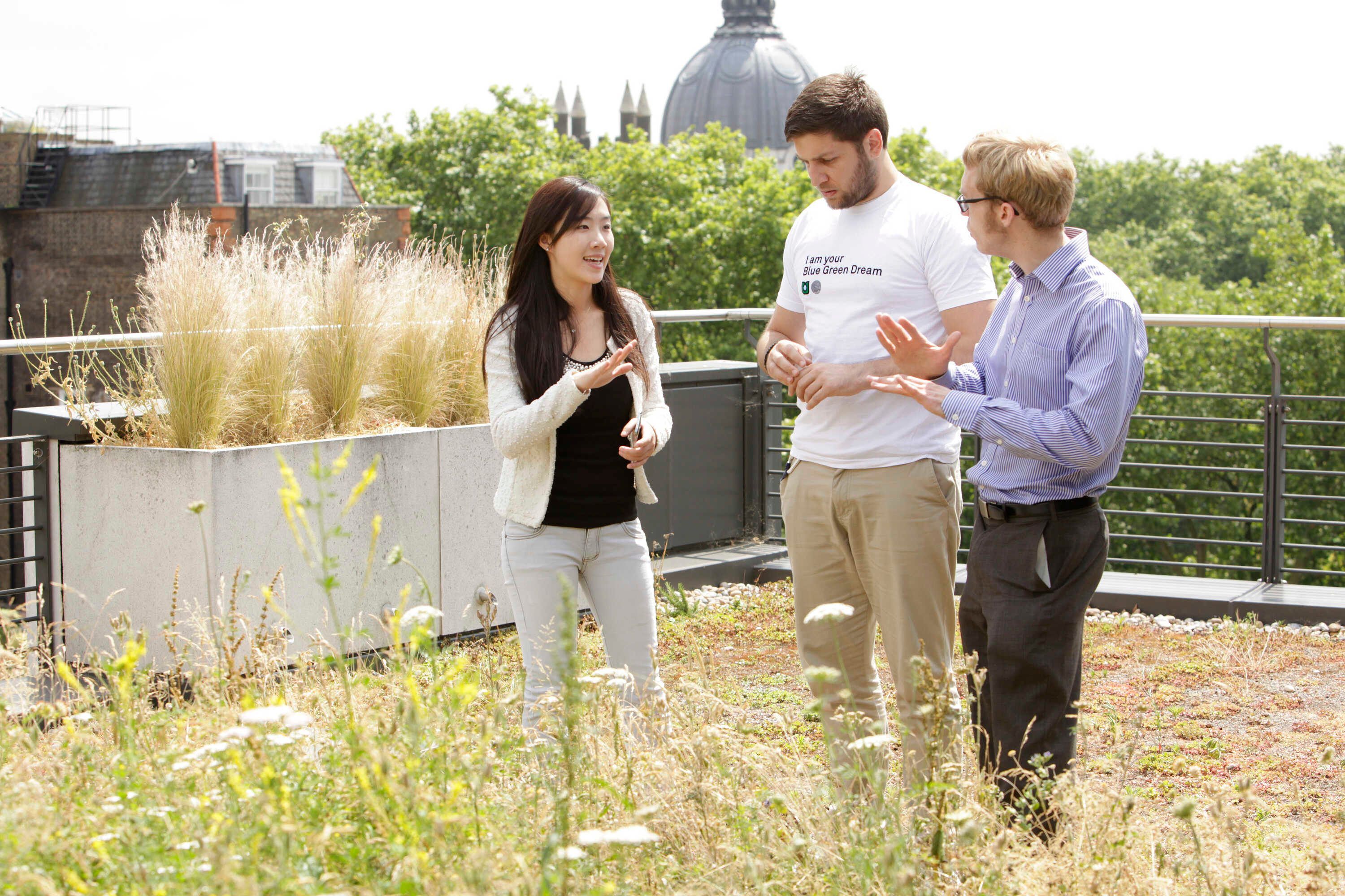 Environmental Engineering students at the Experimental rooftop garden at Eastside.