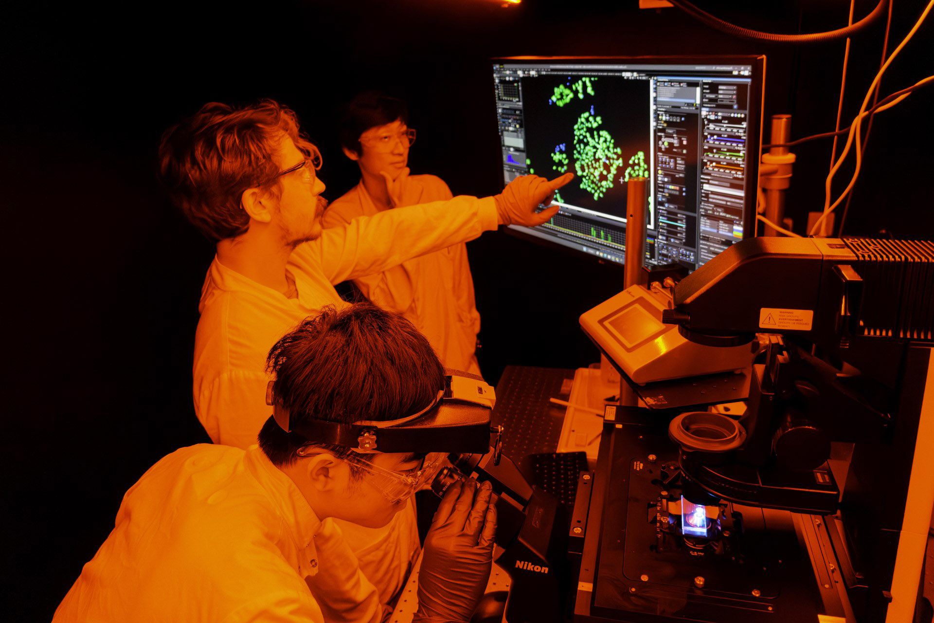 Cancer Biology students in the microscopy dark room