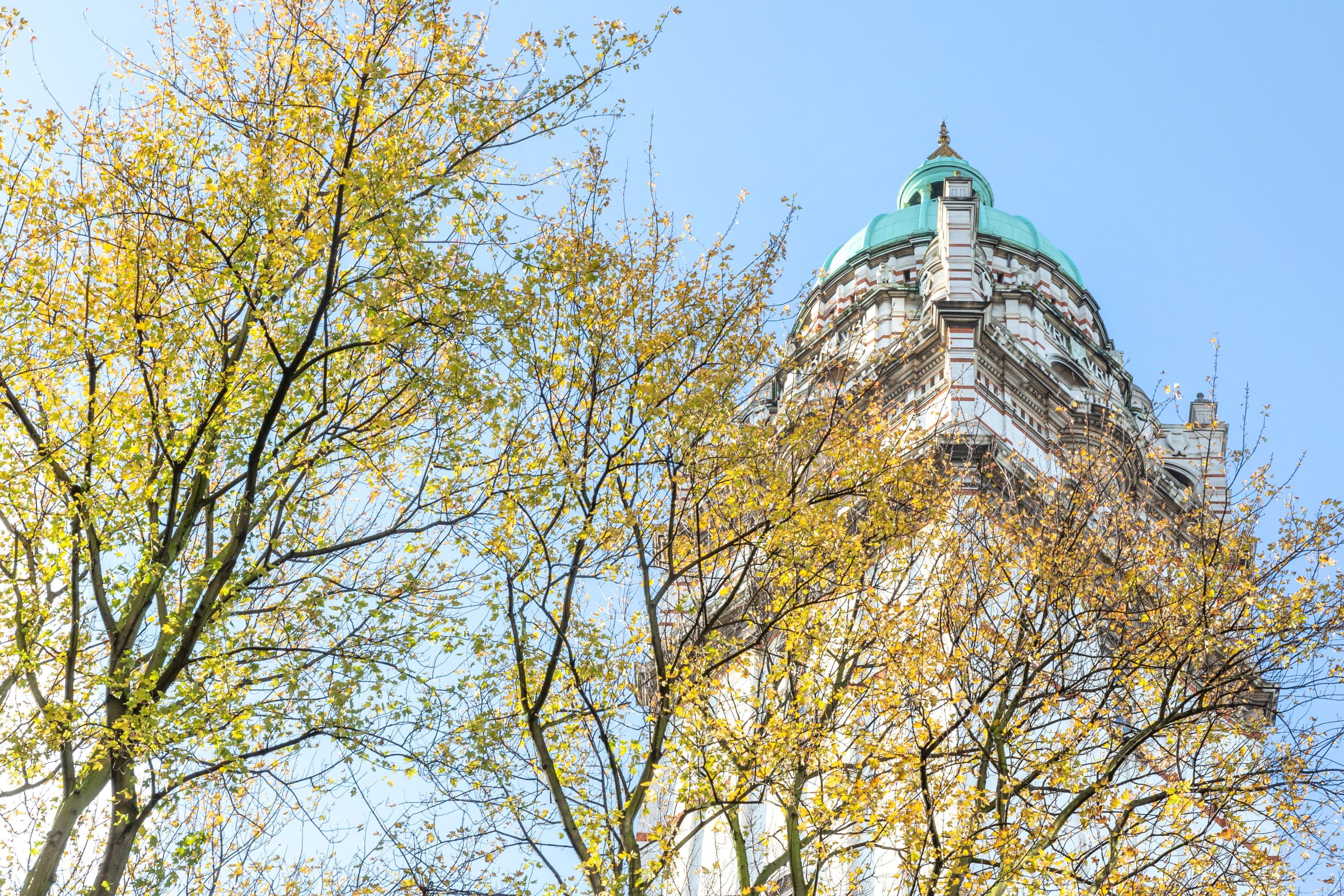 The Queen's Tower with orange trees in front