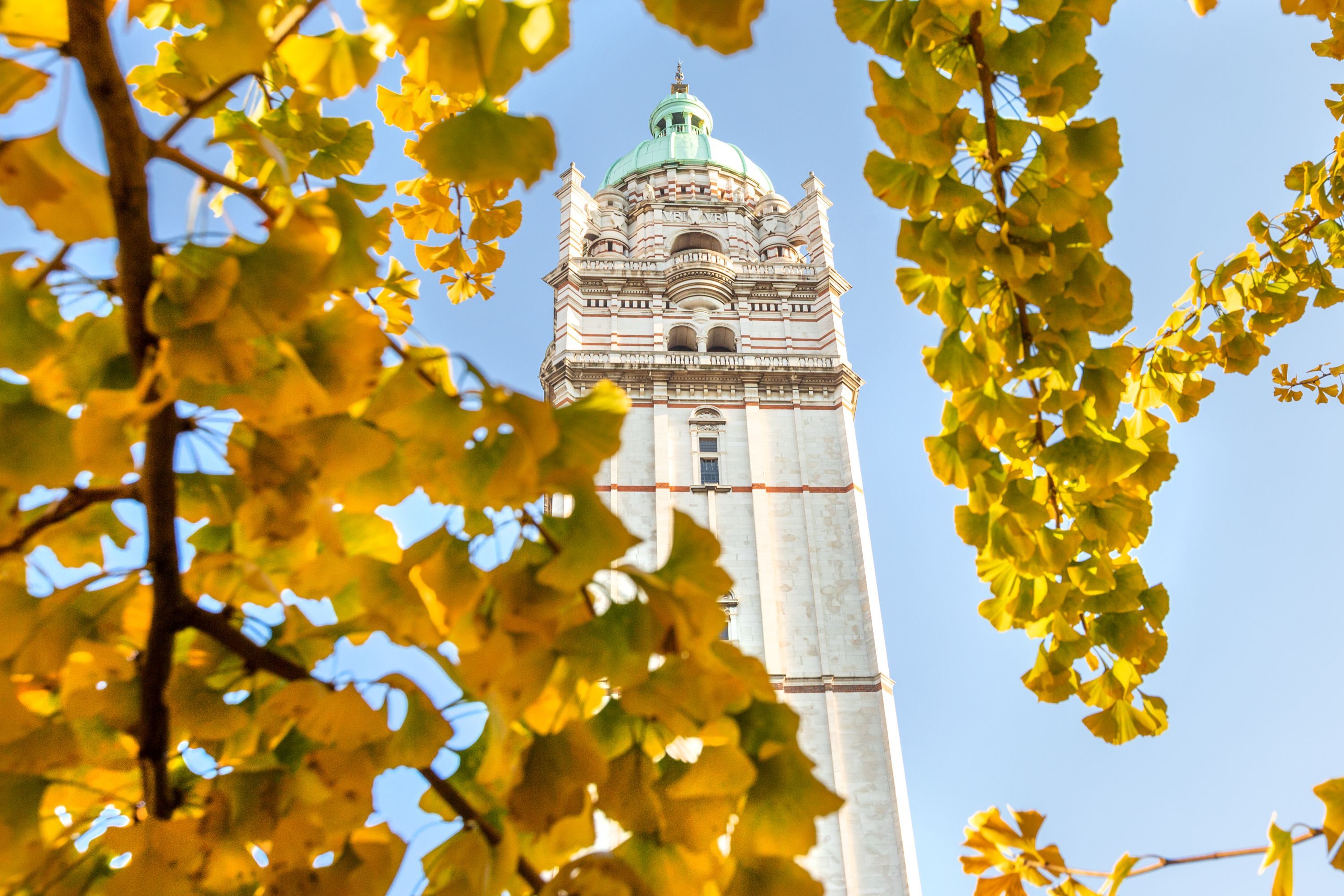 The Queen's Tower with autumn leaves