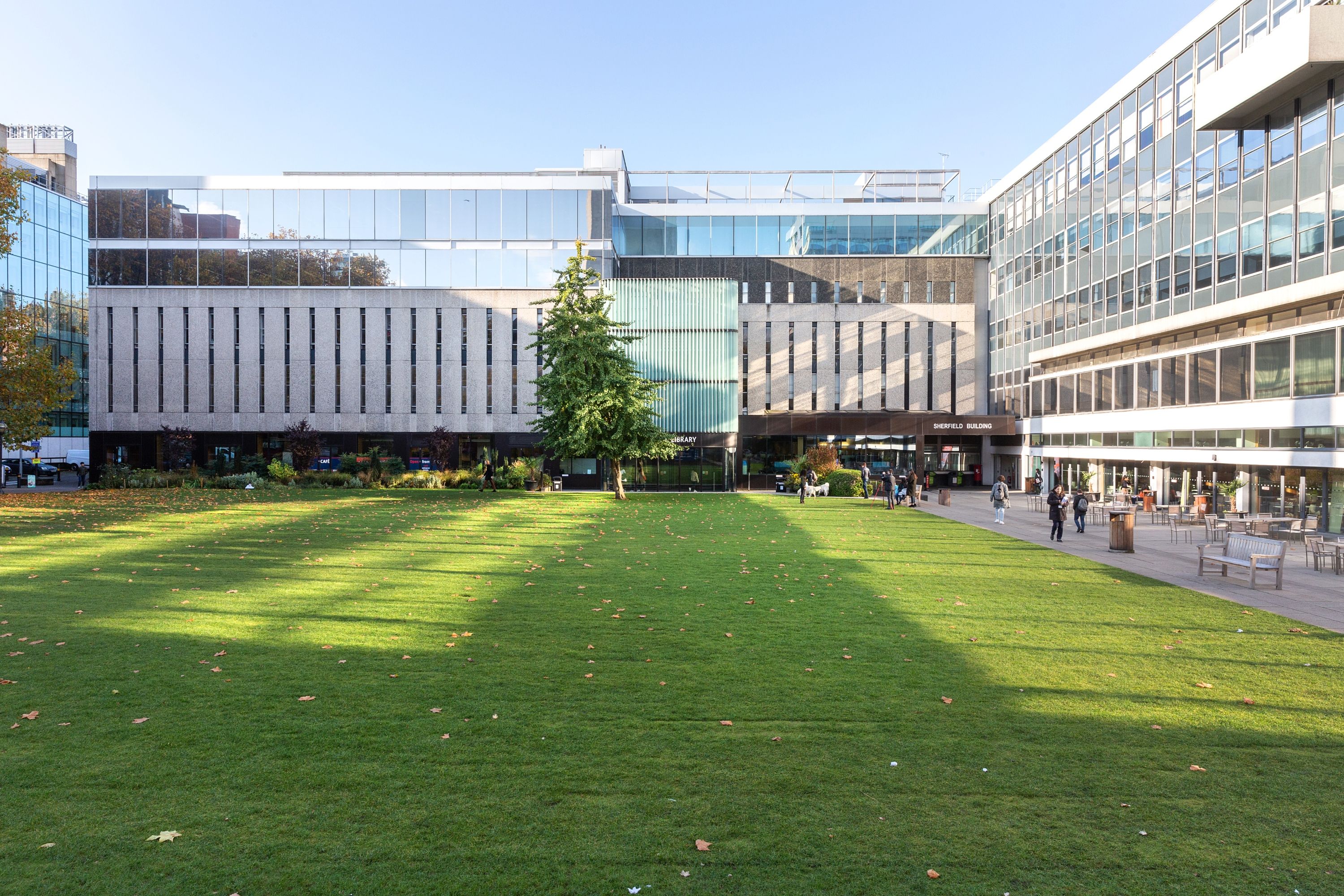 The lawn by the Queens Tower and the library