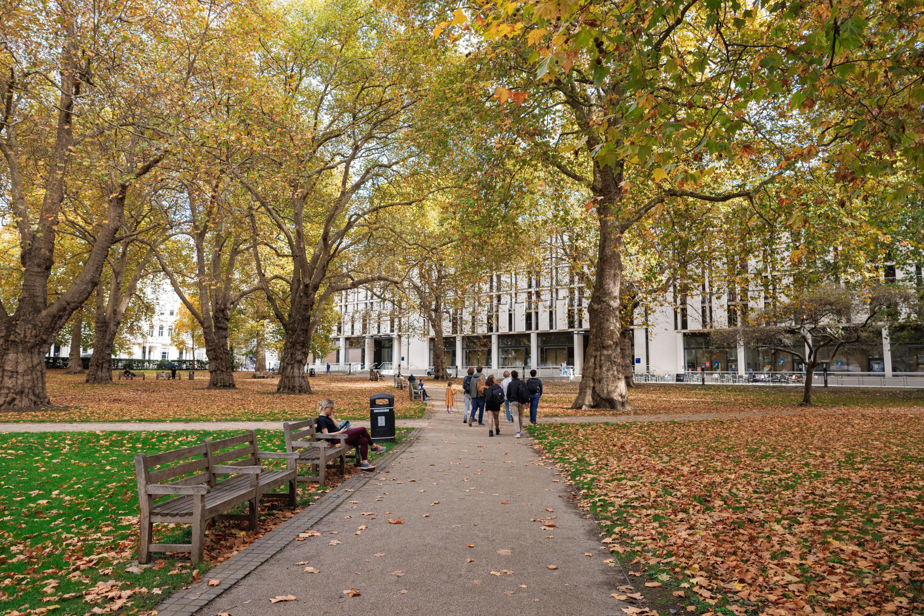 Autumn on campus