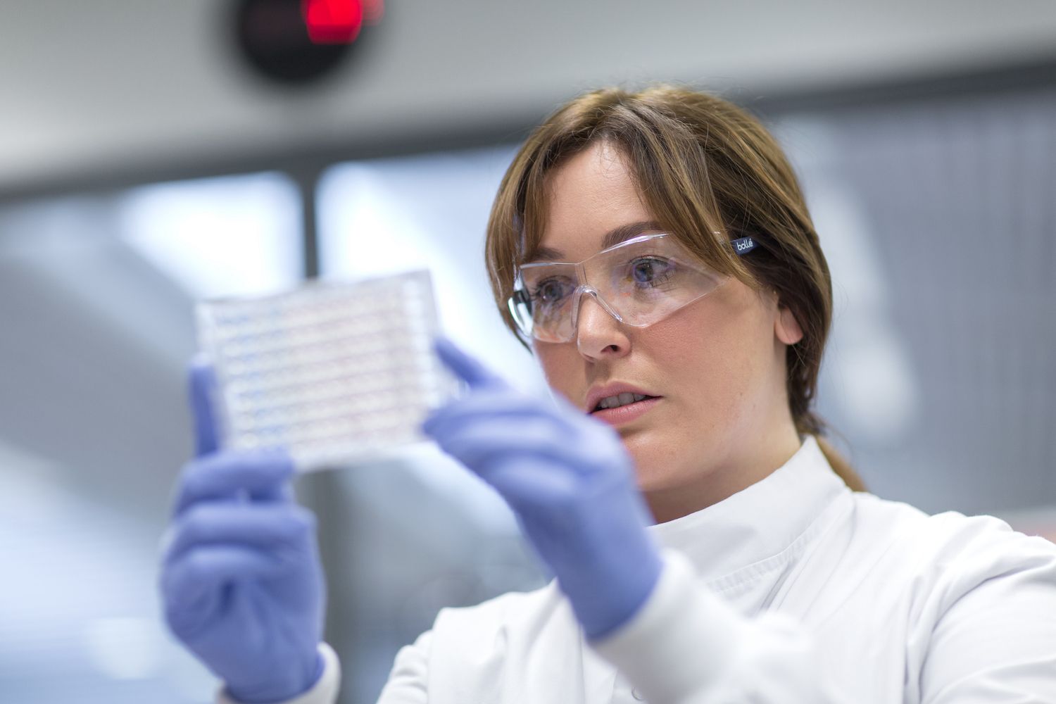 Researcher in the Baum Lab looking at samples.