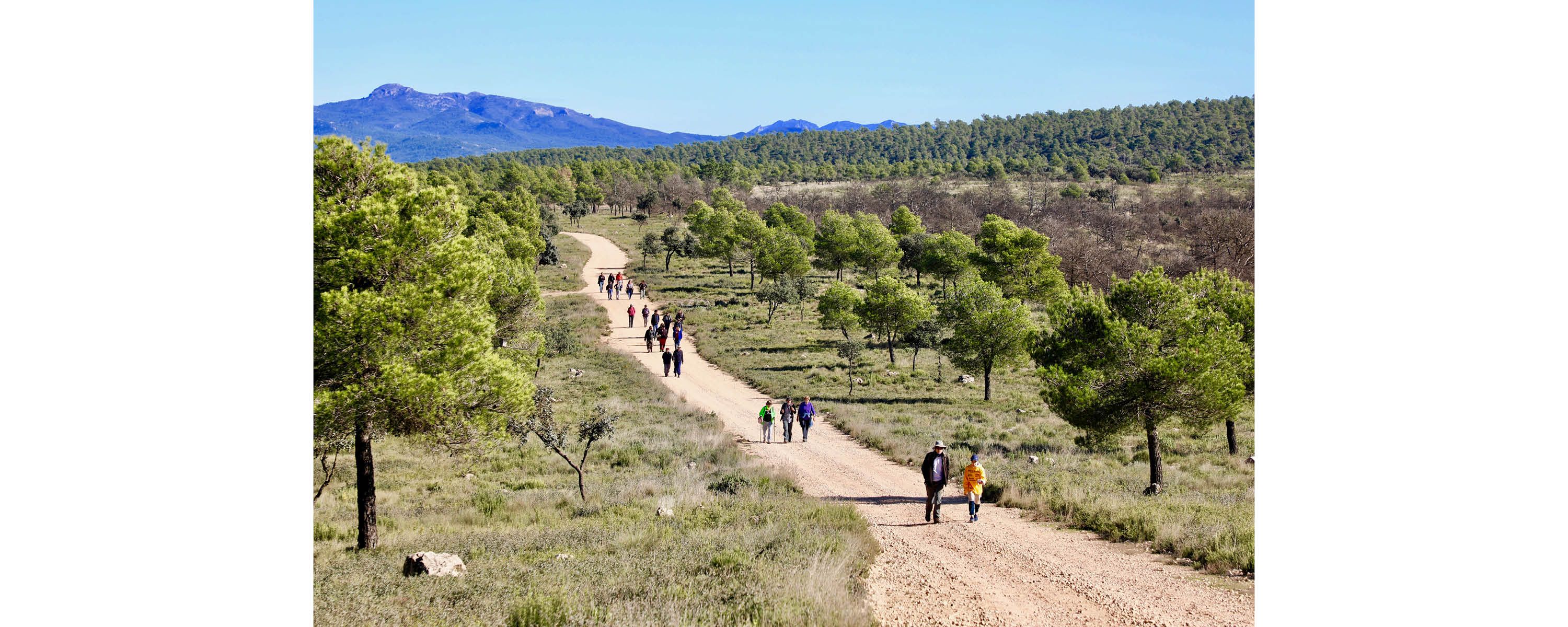 People hiking on an open road