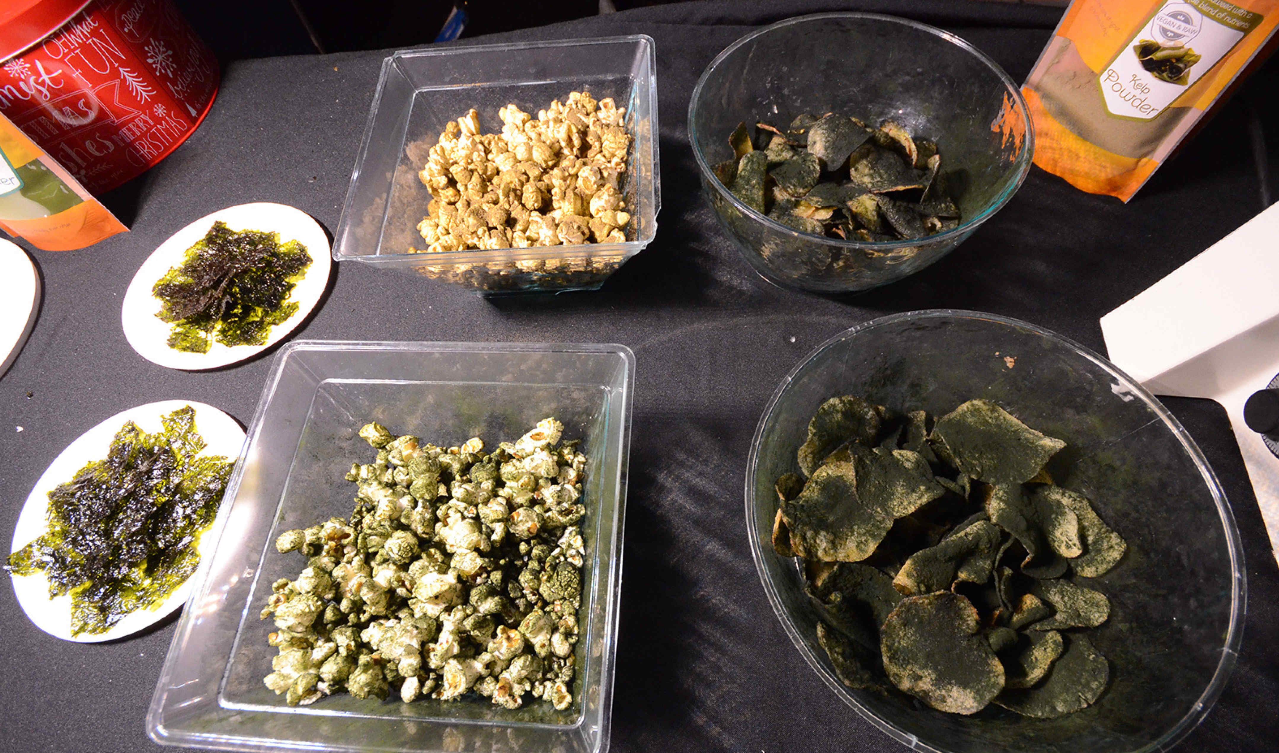 Space Algae at the Science Museum Principia Lates