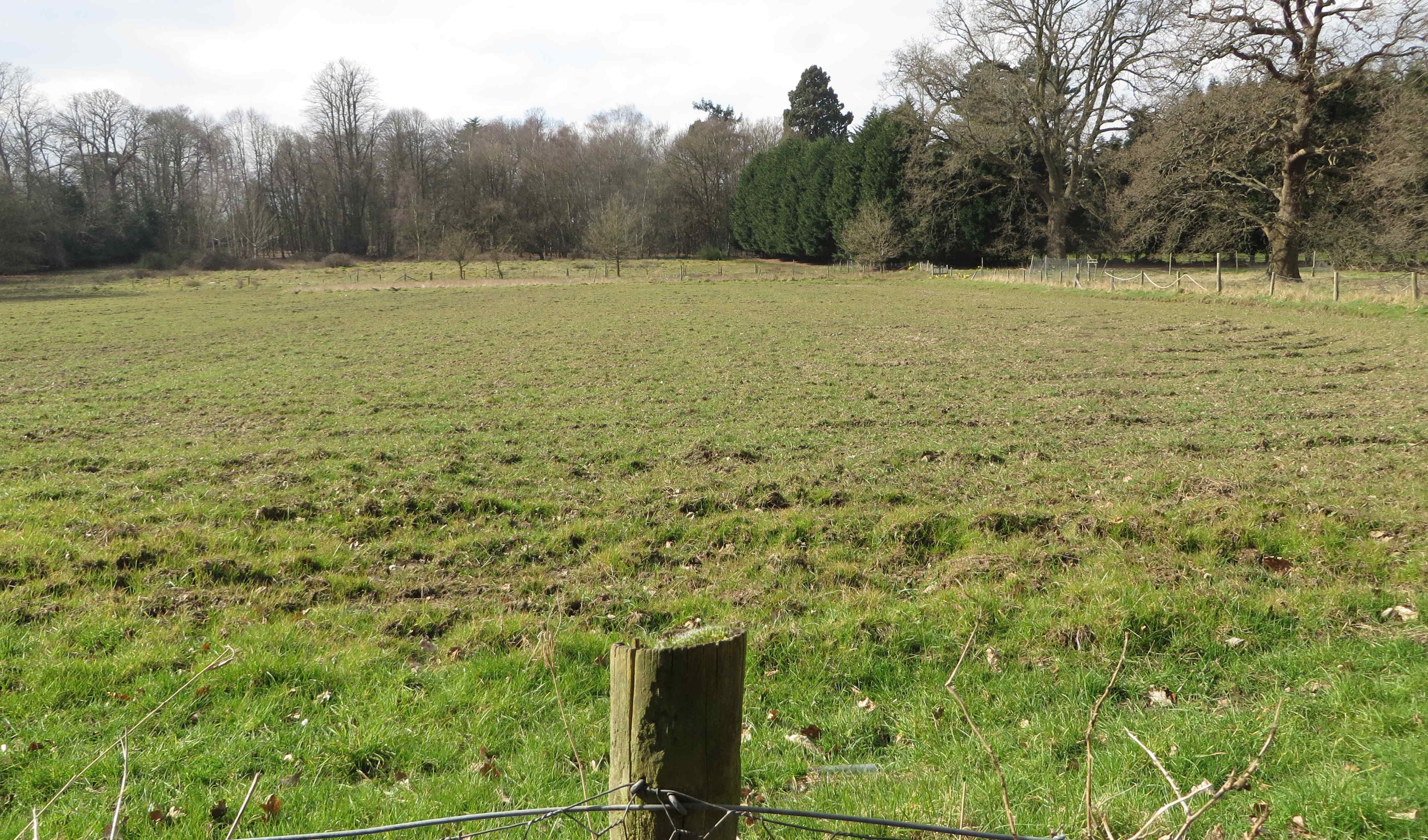 Four Acre Field